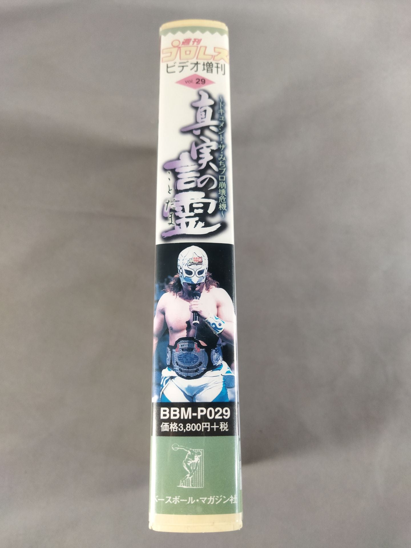 真実の言霊 ~ドキュメント・ザ・みちプロ崩壊危機 週刊プロレスビデオ増刊 Vol.29