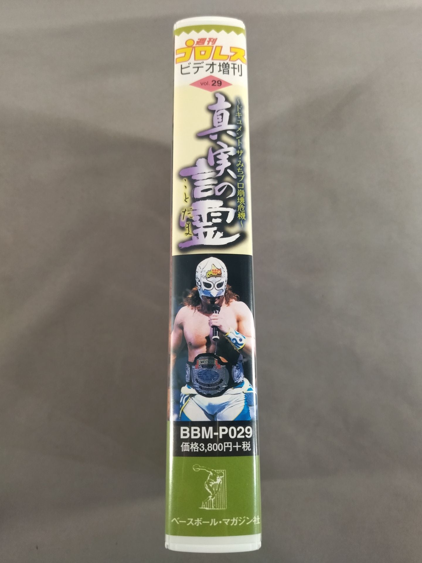 真実の言霊 ~ドキュメント・ザ・みちプロ崩壊危機 週刊プロレスビデオ増刊 Vol.29