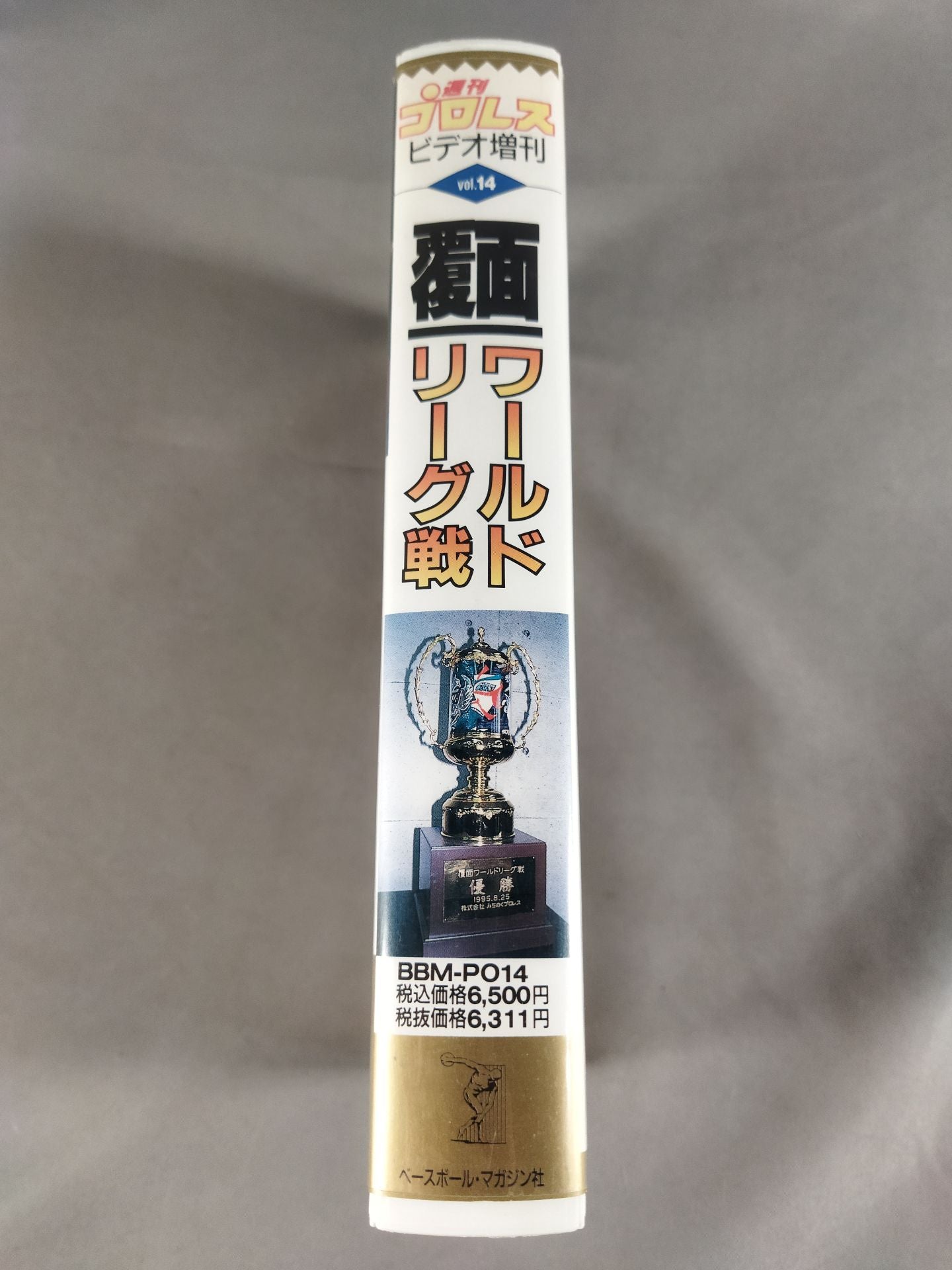 Weekly Pro Wrestling Video Special Issue Vol.14 Undercover World League