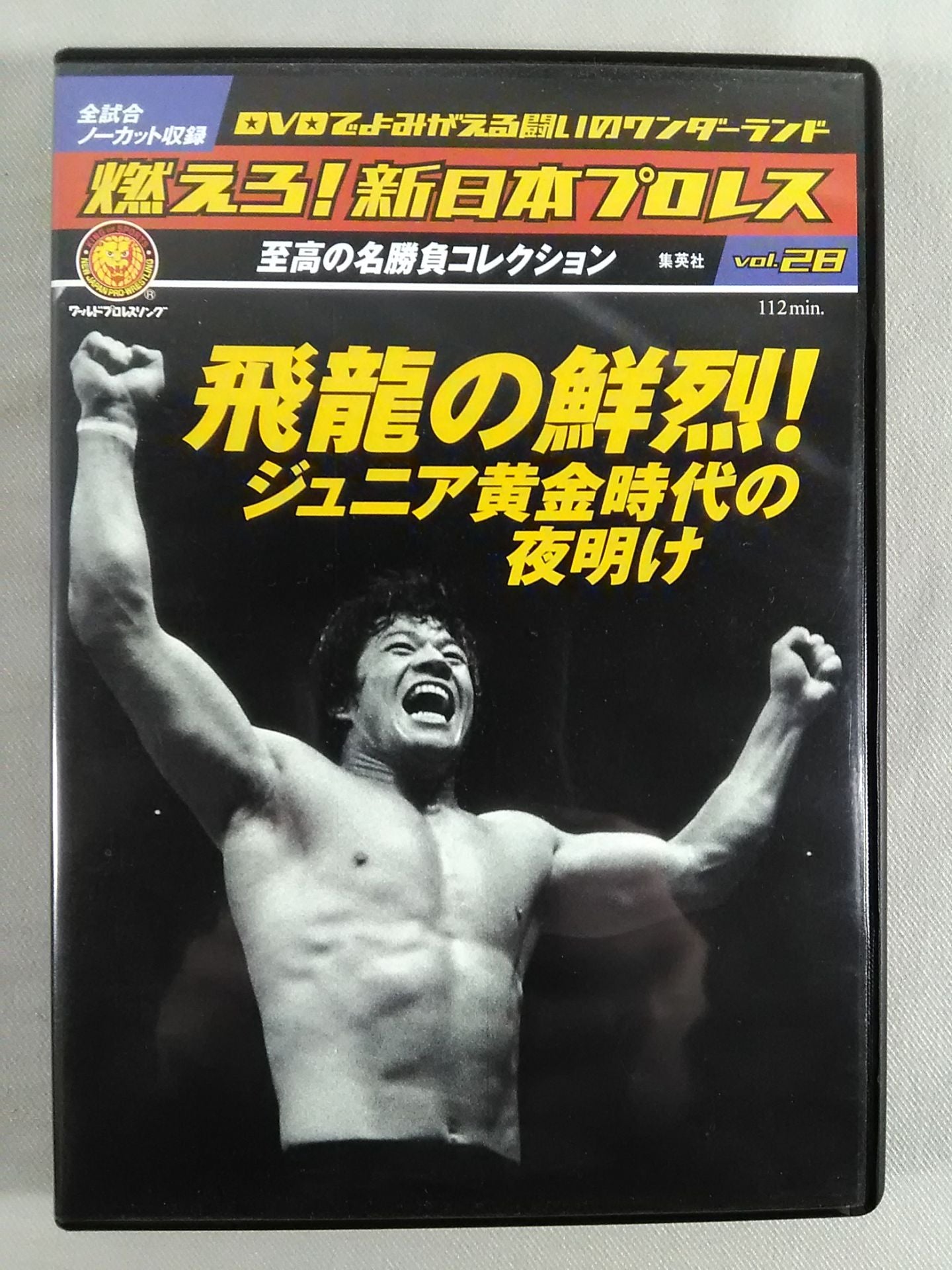 燃えろ!新日本プロレス vol.28