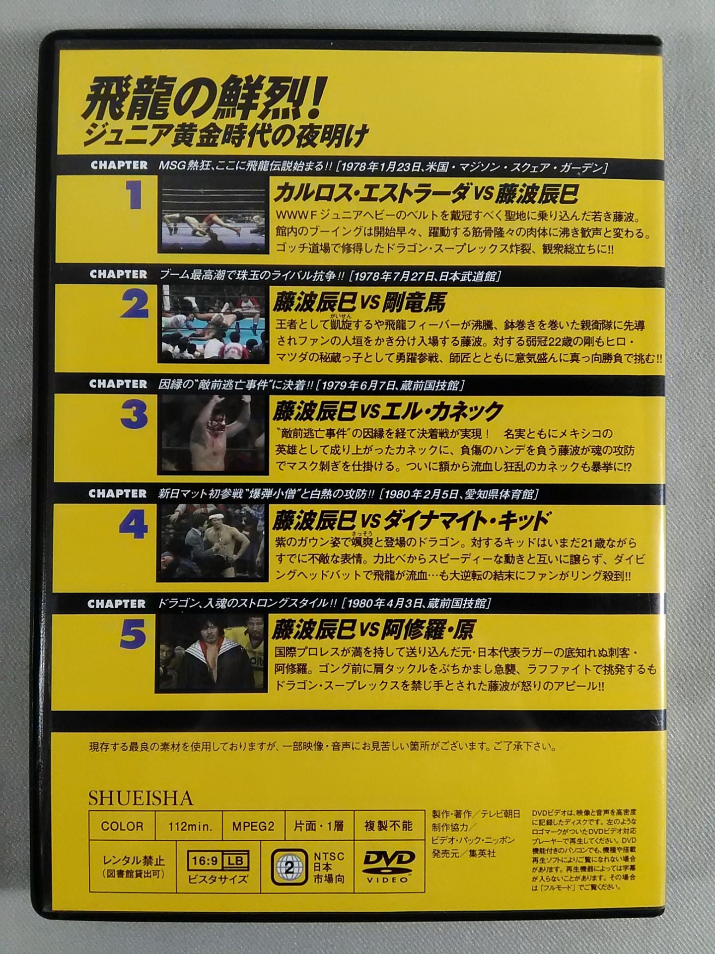 燃えろ!新日本プロレス vol.28