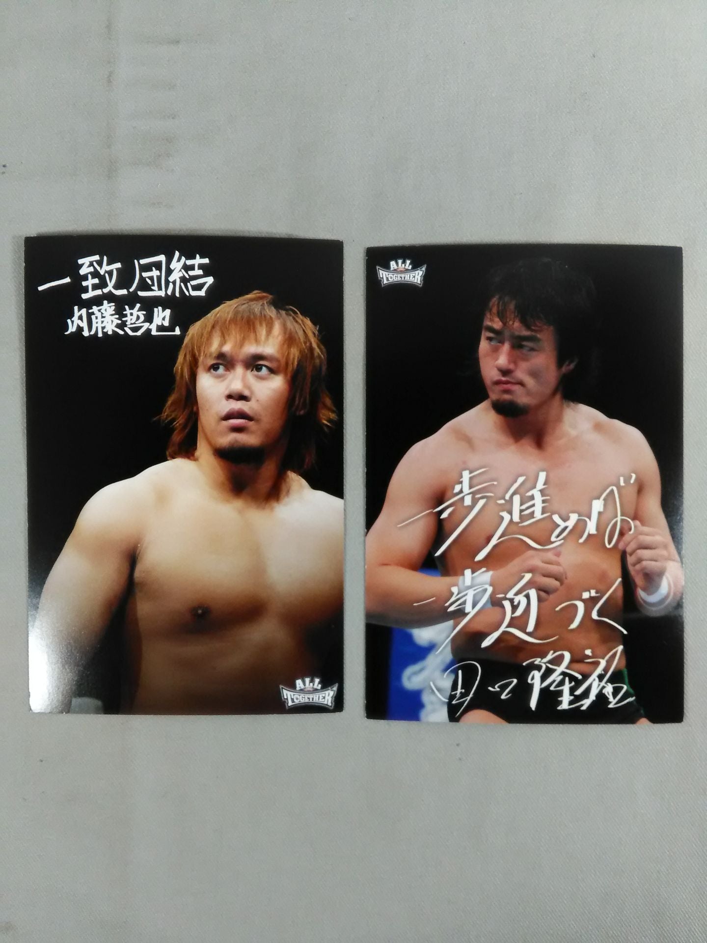 オール・トゥギャザー 東日本大震災復興支援チャリティープロレス