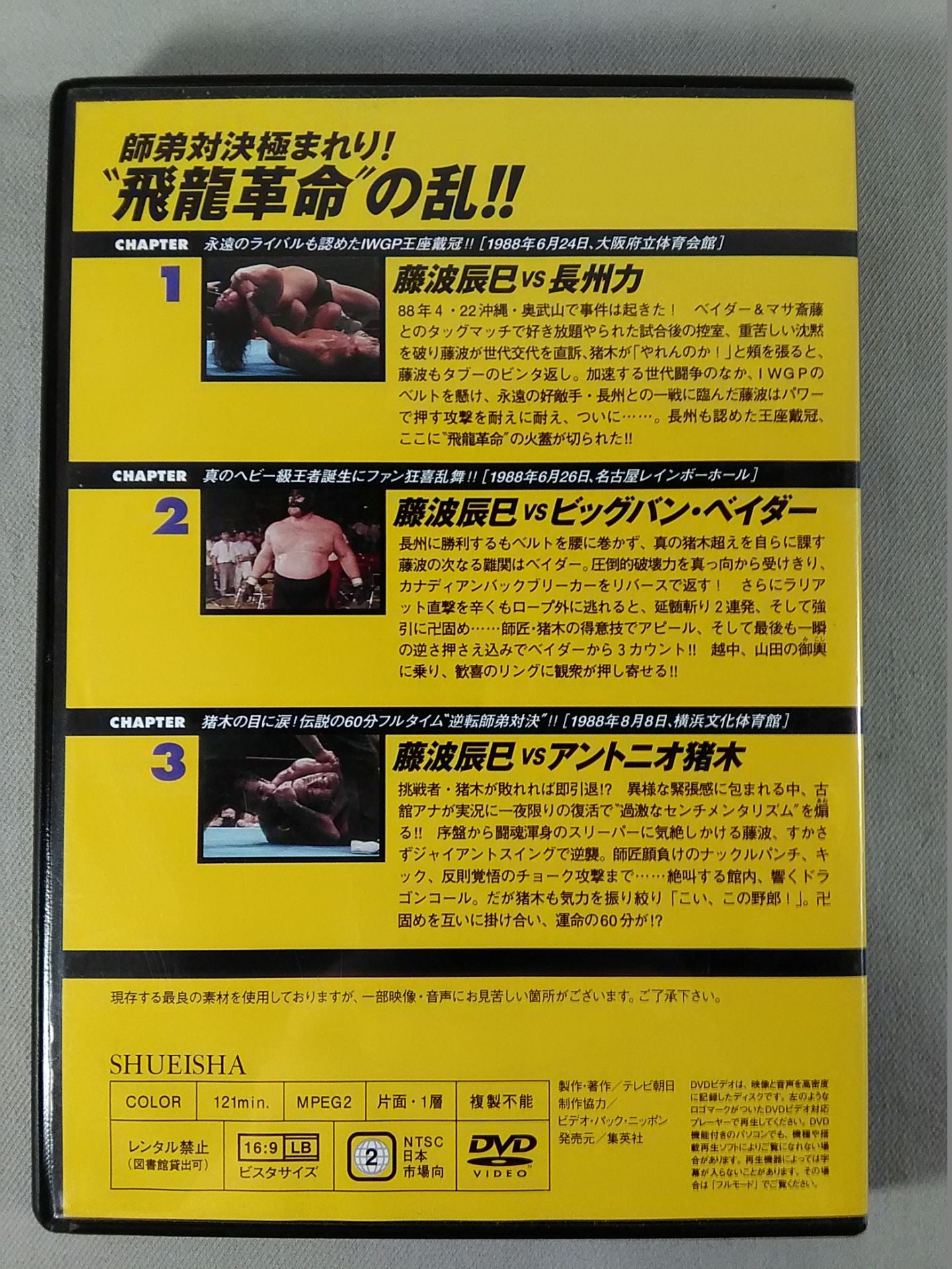 燃えろ!新日本プロレス vol.36