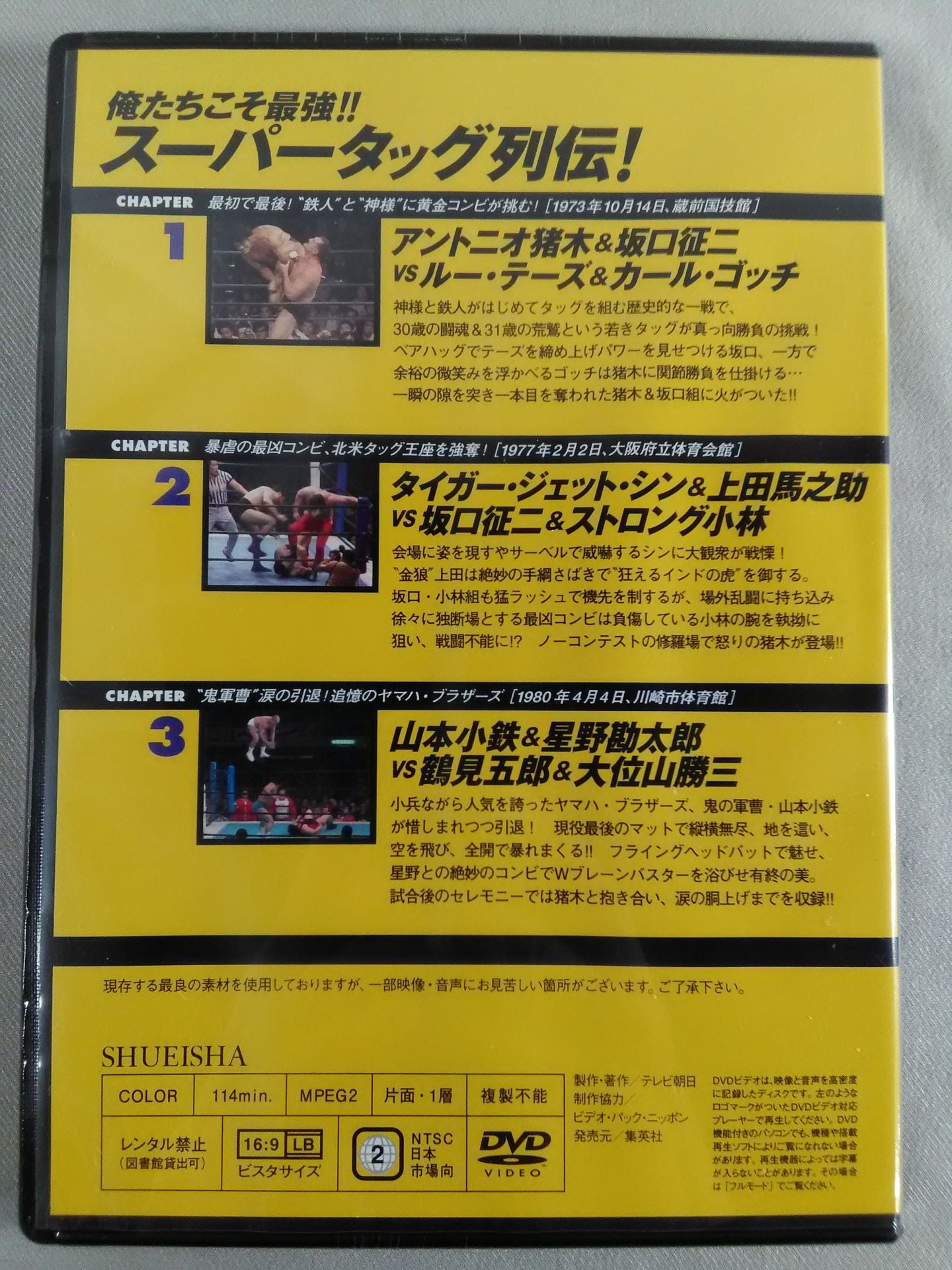 Burn! New Japan Pro Wrestling vol.17