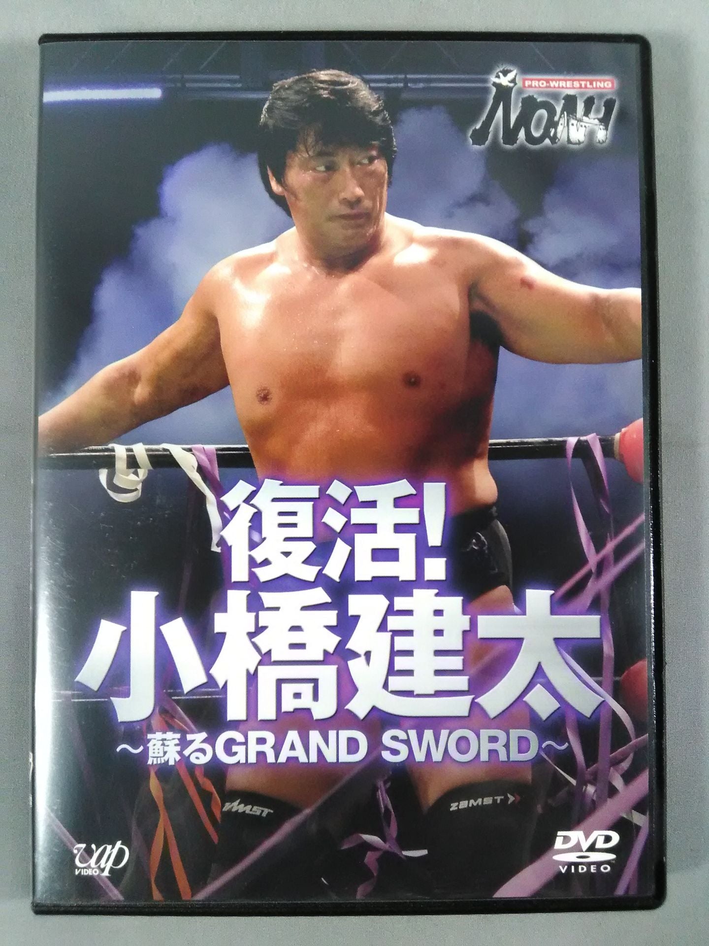 小橋建太/PRO-WRESTLING NOAH 鉄人 小橋建太～絶対王者への道…