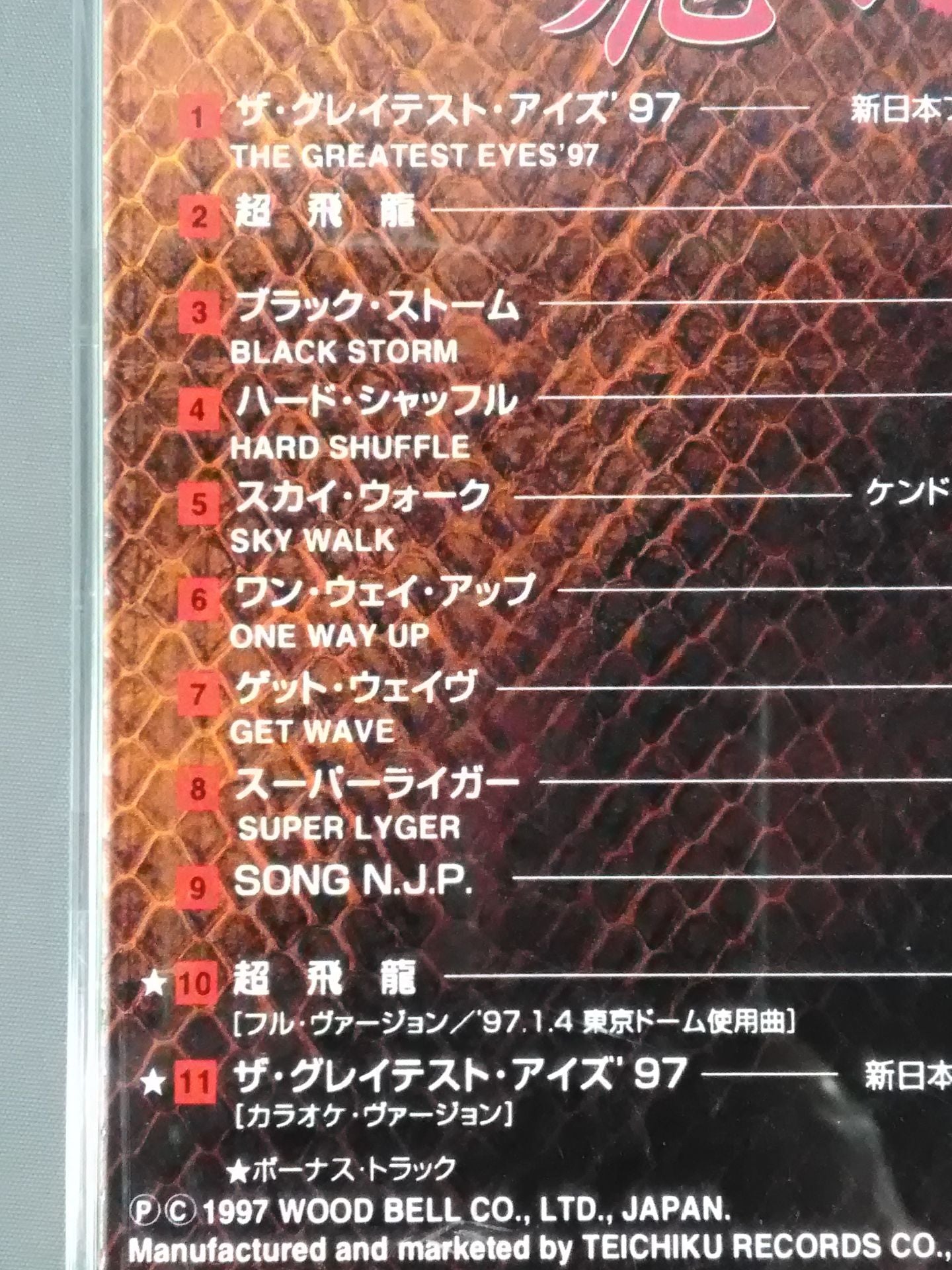 Tatsumi Fujinami Super Wyvern