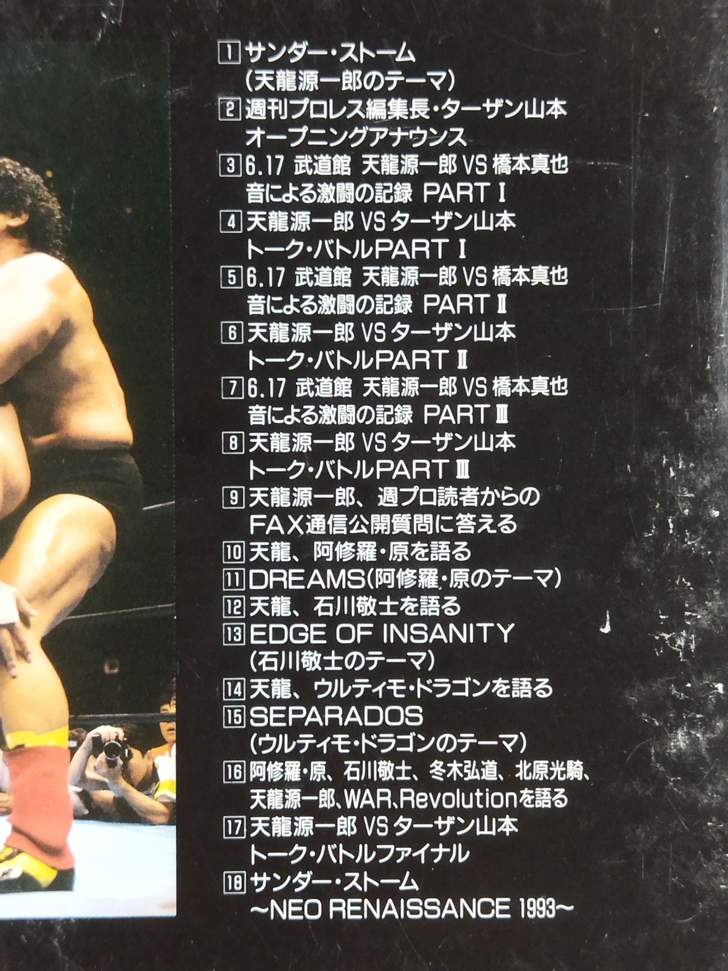 Revolution Melancholy: The World of Tenryu Genichiro and WAR