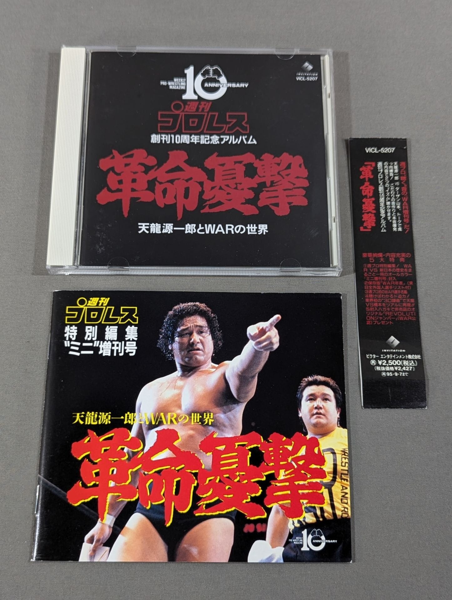 Revolution Melancholy: The World of Tenryu Genichiro and WAR