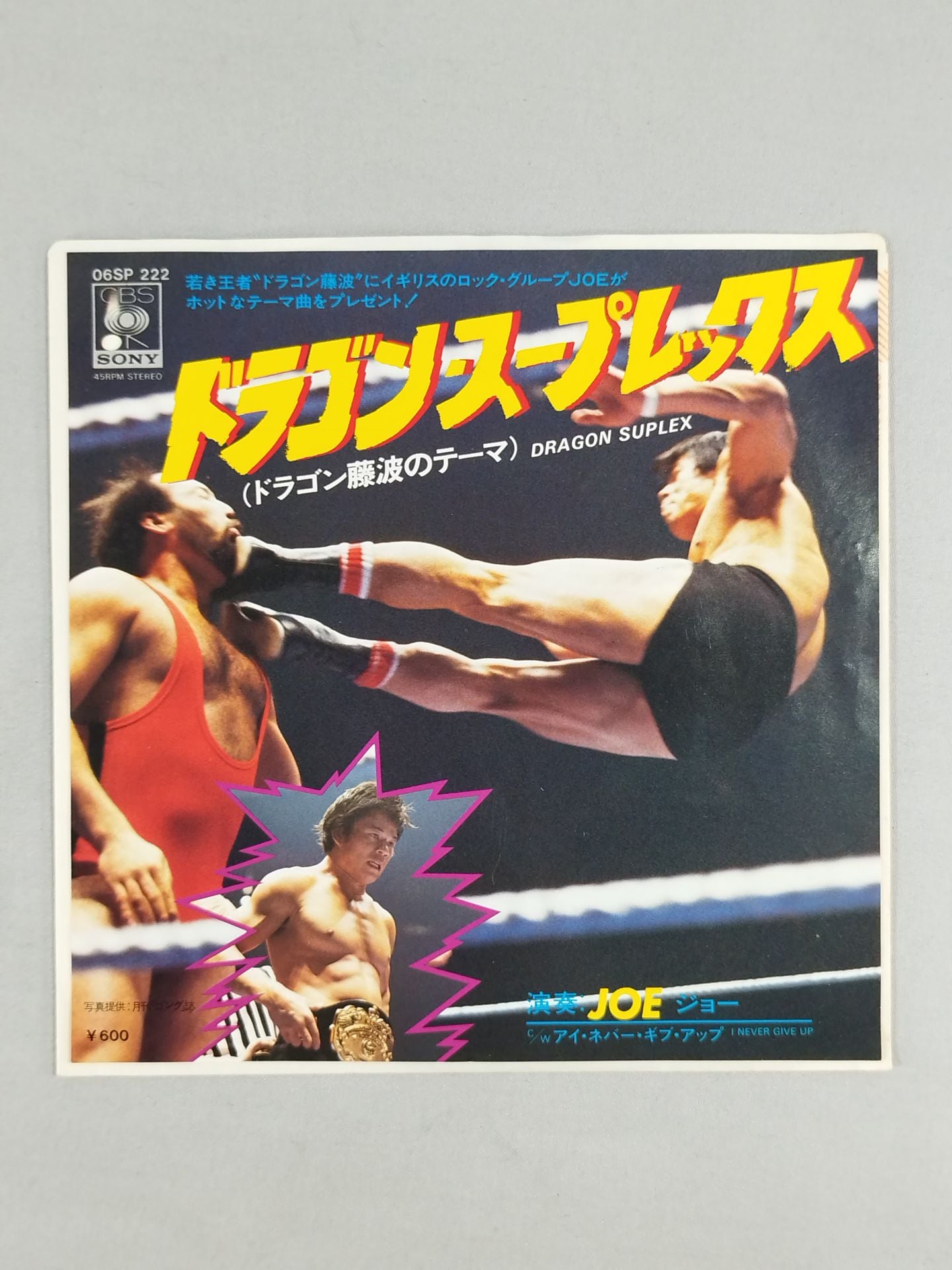ドラゴン・スープレックス (ドラゴン藤波のテーマ)