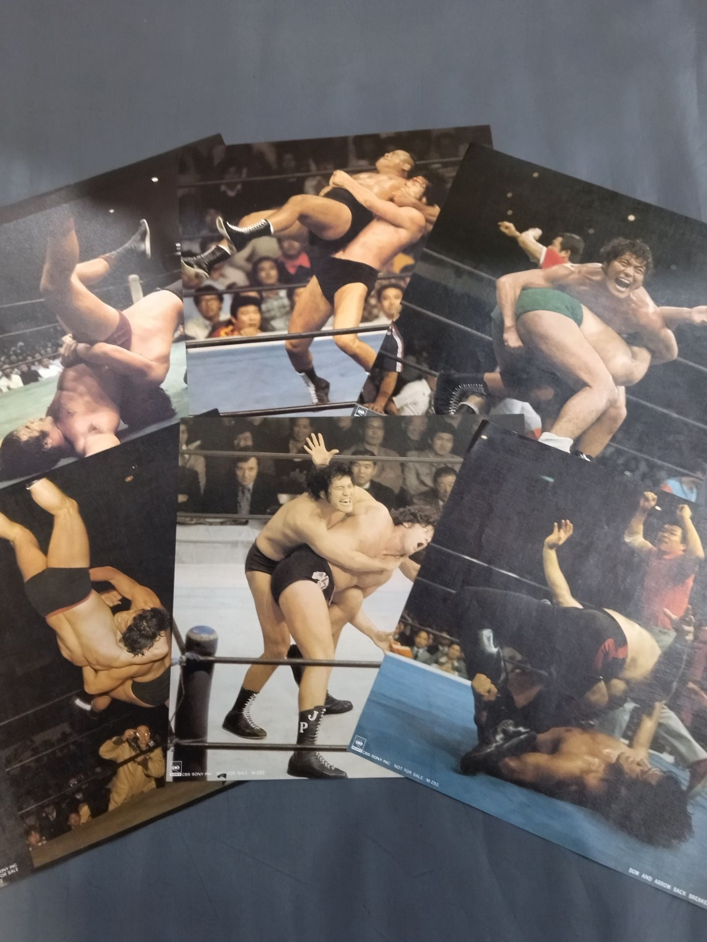 燃える闘魂 アントニオ猪木