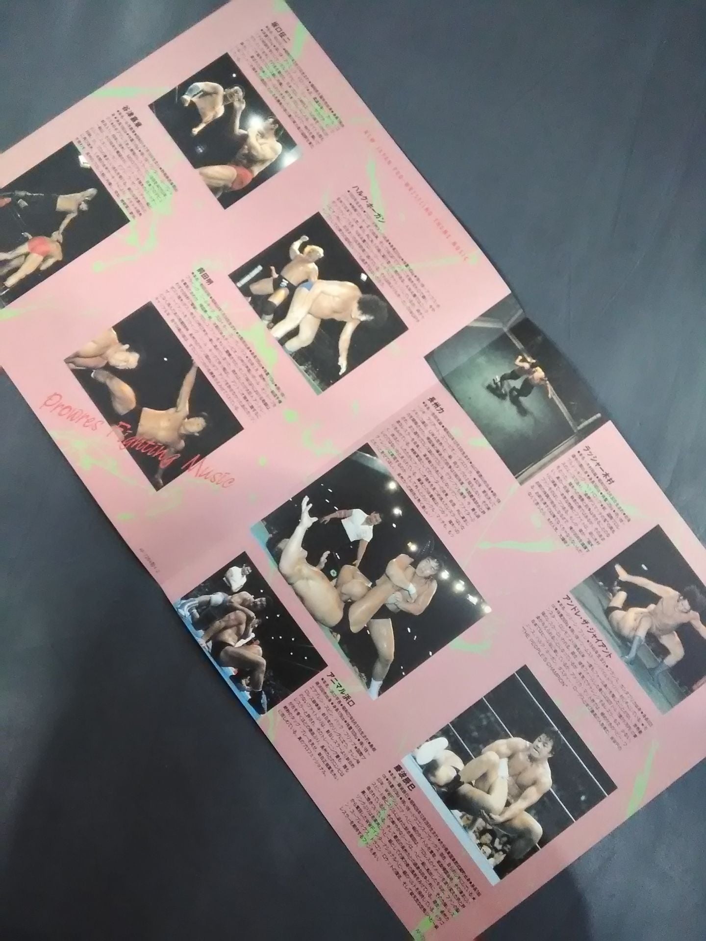 New Japan Pro Wrestling 's latest theme song collection Pro Wrestling ・Fighting Music