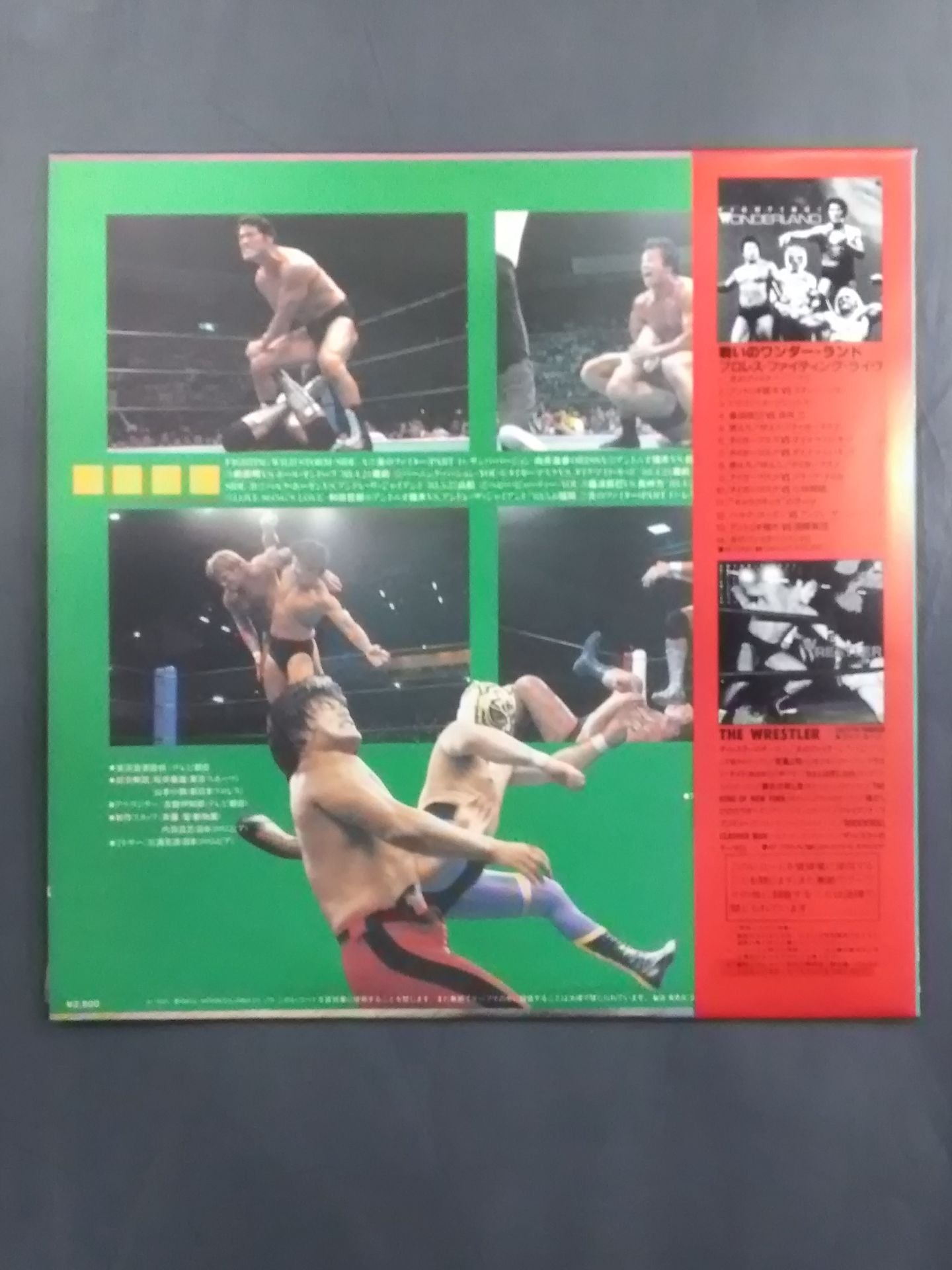 闘いのワイルド・ストーム / プロレス・ファイティング・ライブ②