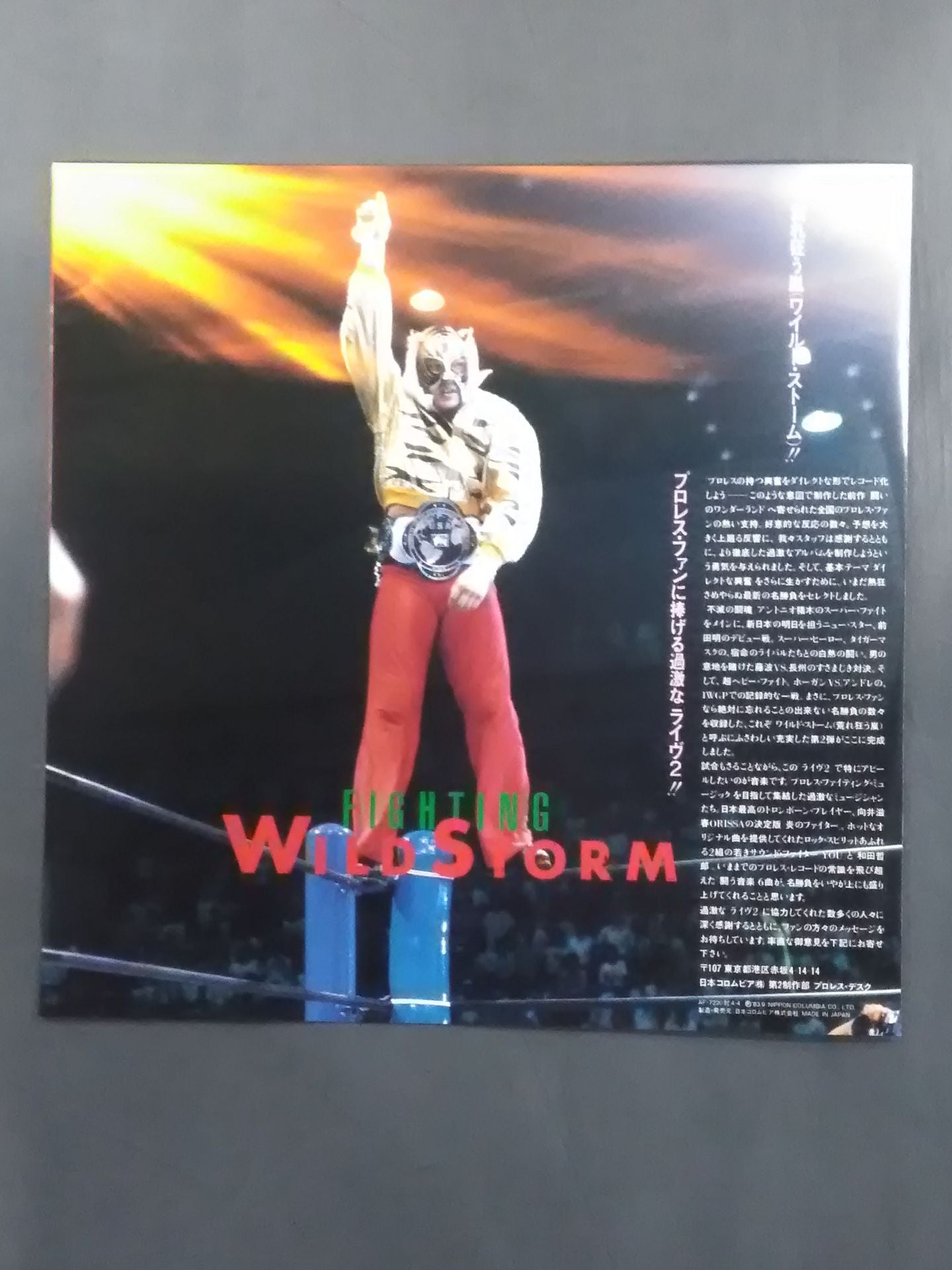 闘いのワイルド・ストーム / プロレス・ファイティング・ライブ②