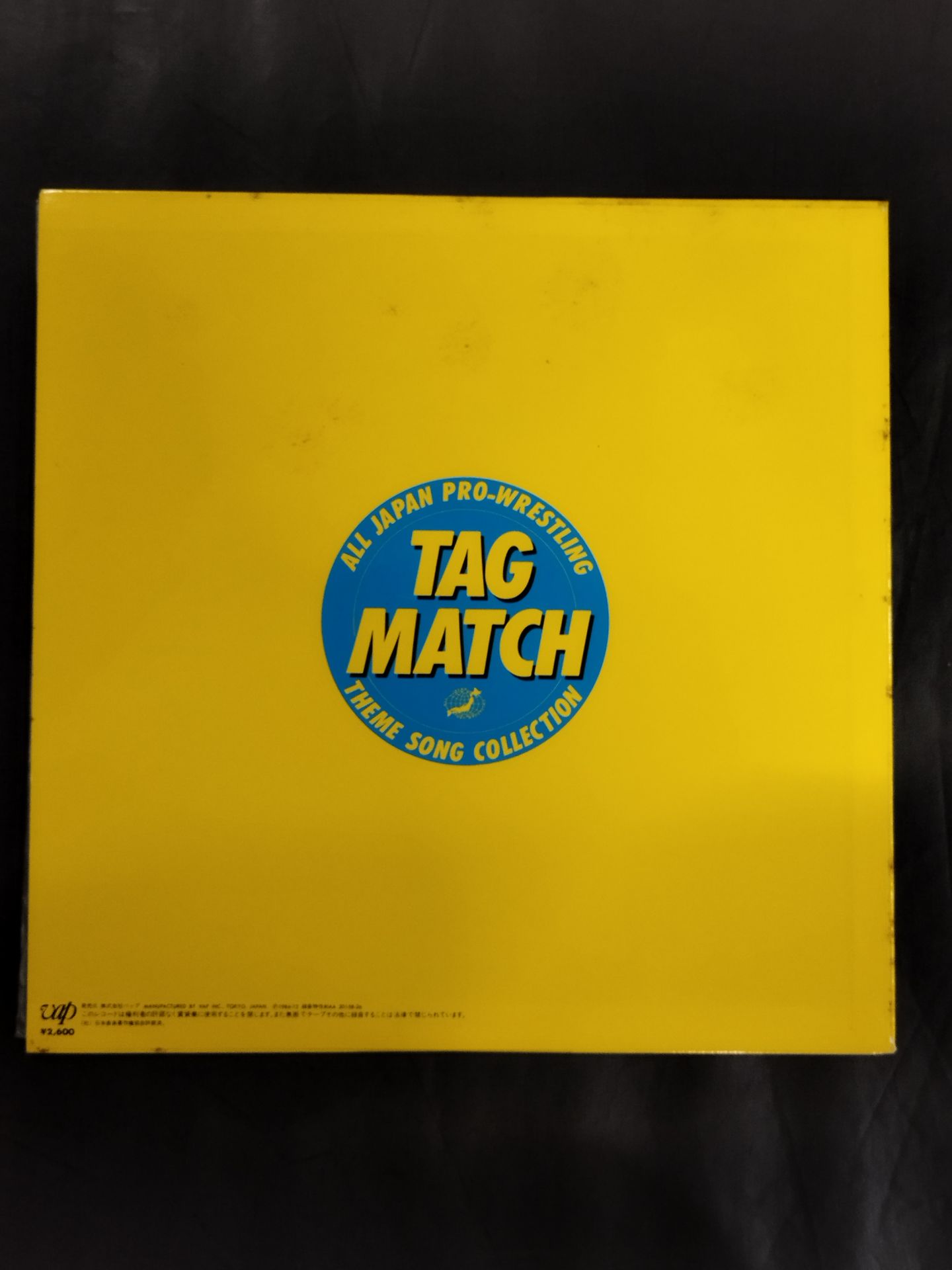 TAG MATCH / ALL JAPAN PRO-WRESTLING