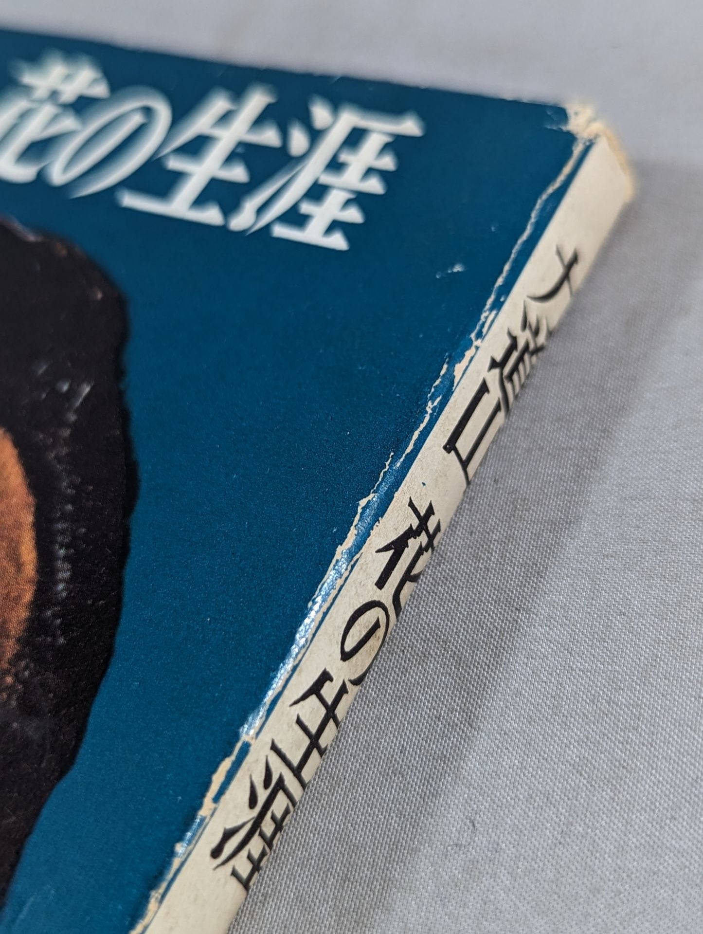 Rikidozan  The life of a flower