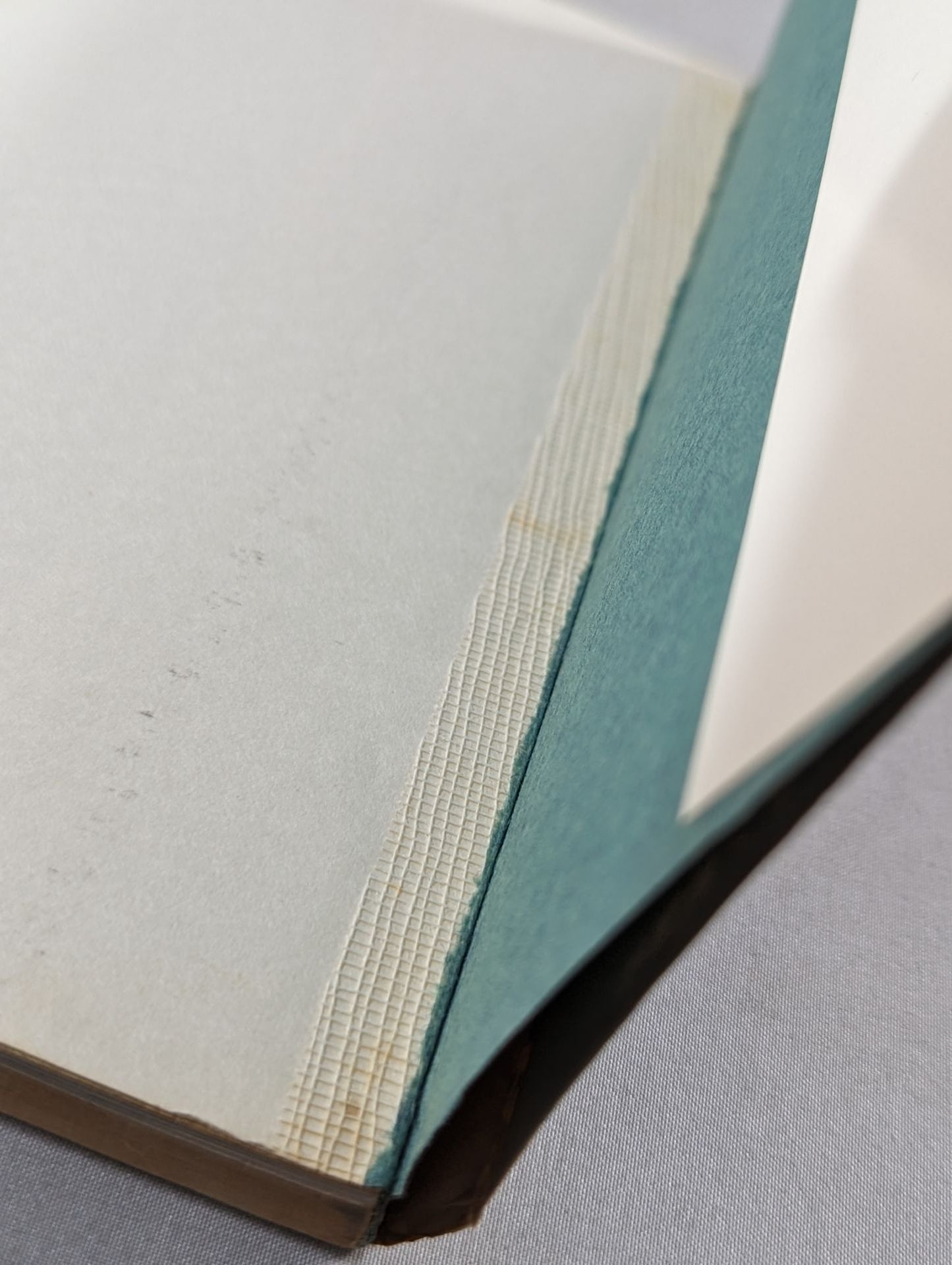 Rikidozan  The life of a flower