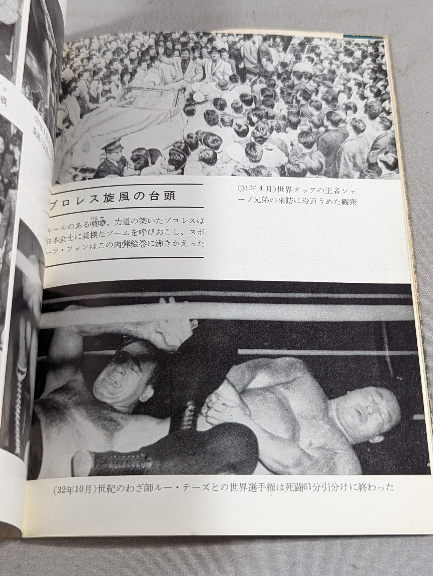 Rikidozan  The life of a flower