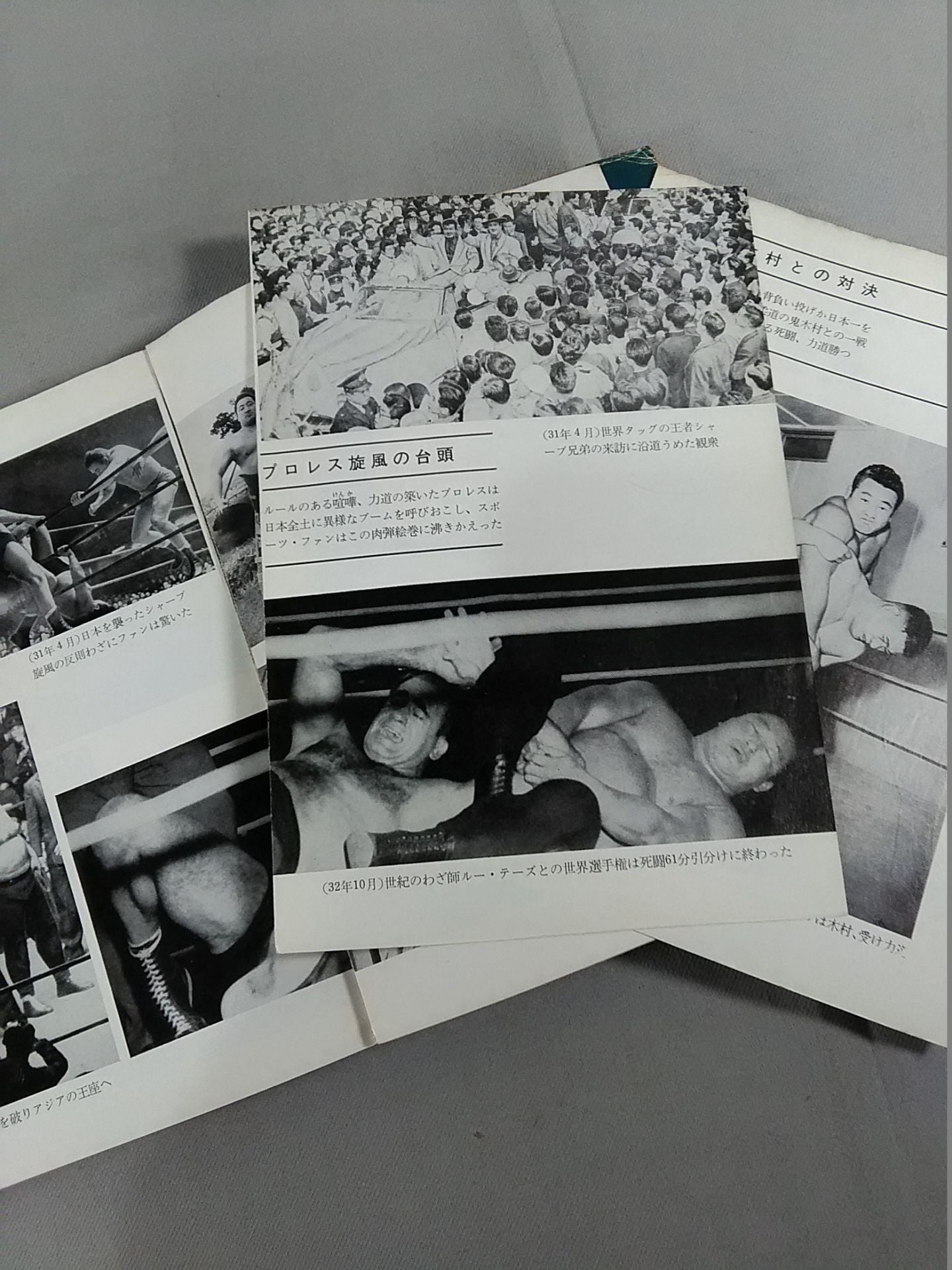 Rikidozan The life of a flower