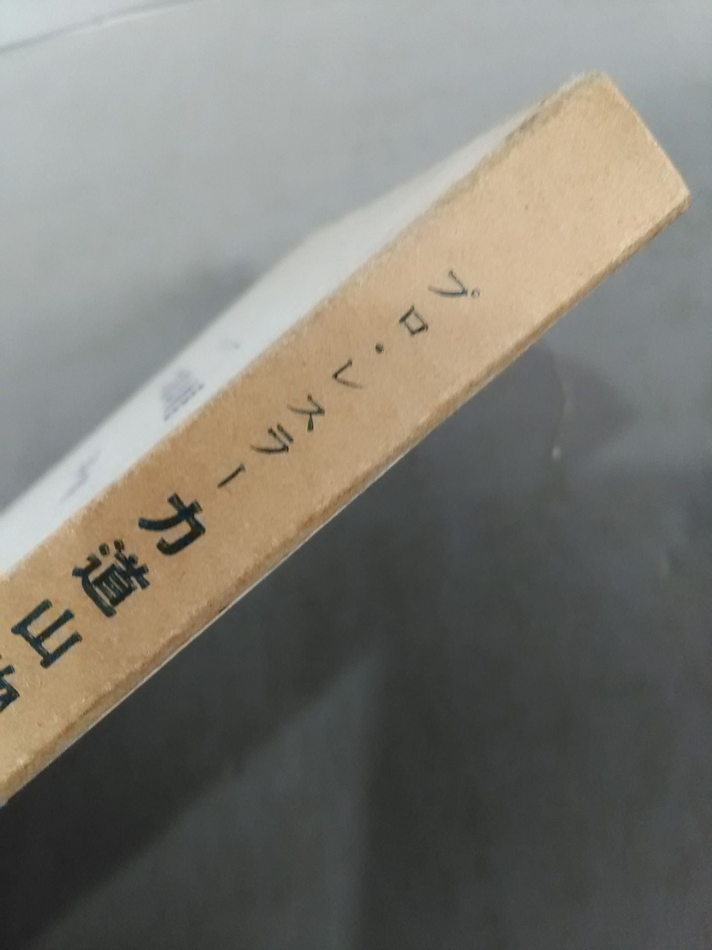 Pro Wrestler Rikidozan Story