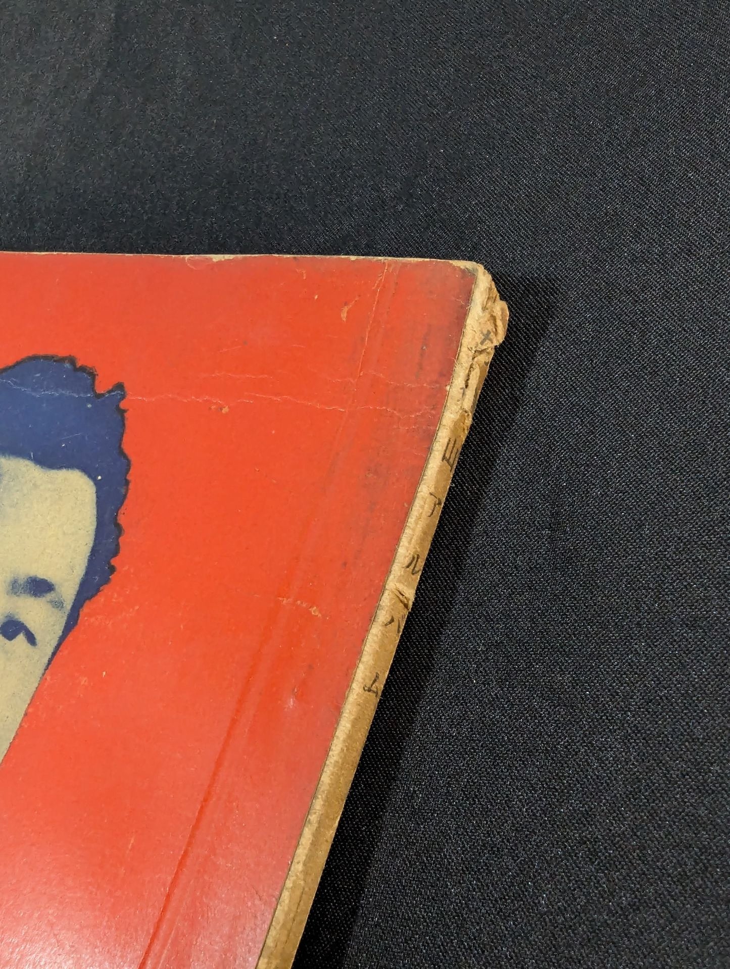 Rikidozan Album Pro Wrestling Champion