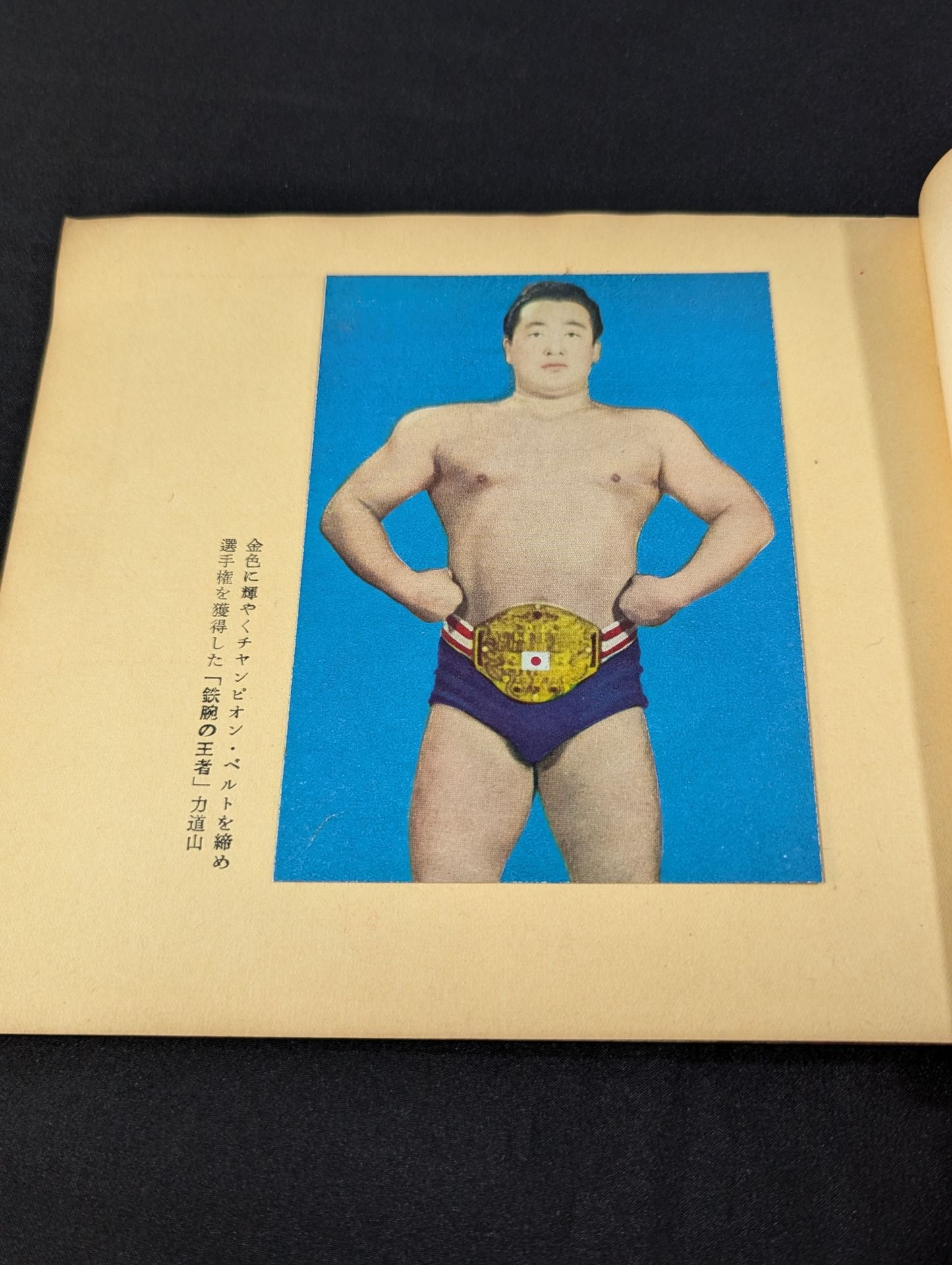 Rikidozan Album Pro Wrestling Champion