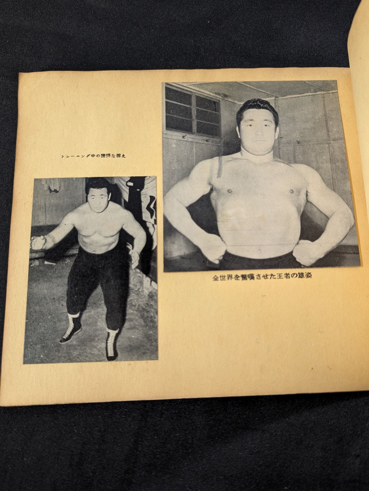 Rikidozan Album Pro Wrestling Champion