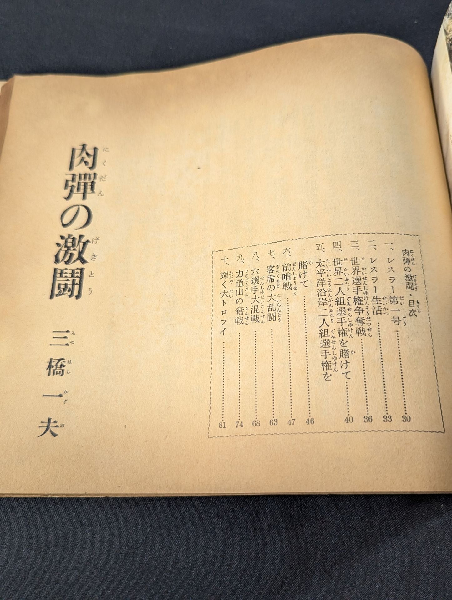 Rikidozan Album Pro Wrestling Champion