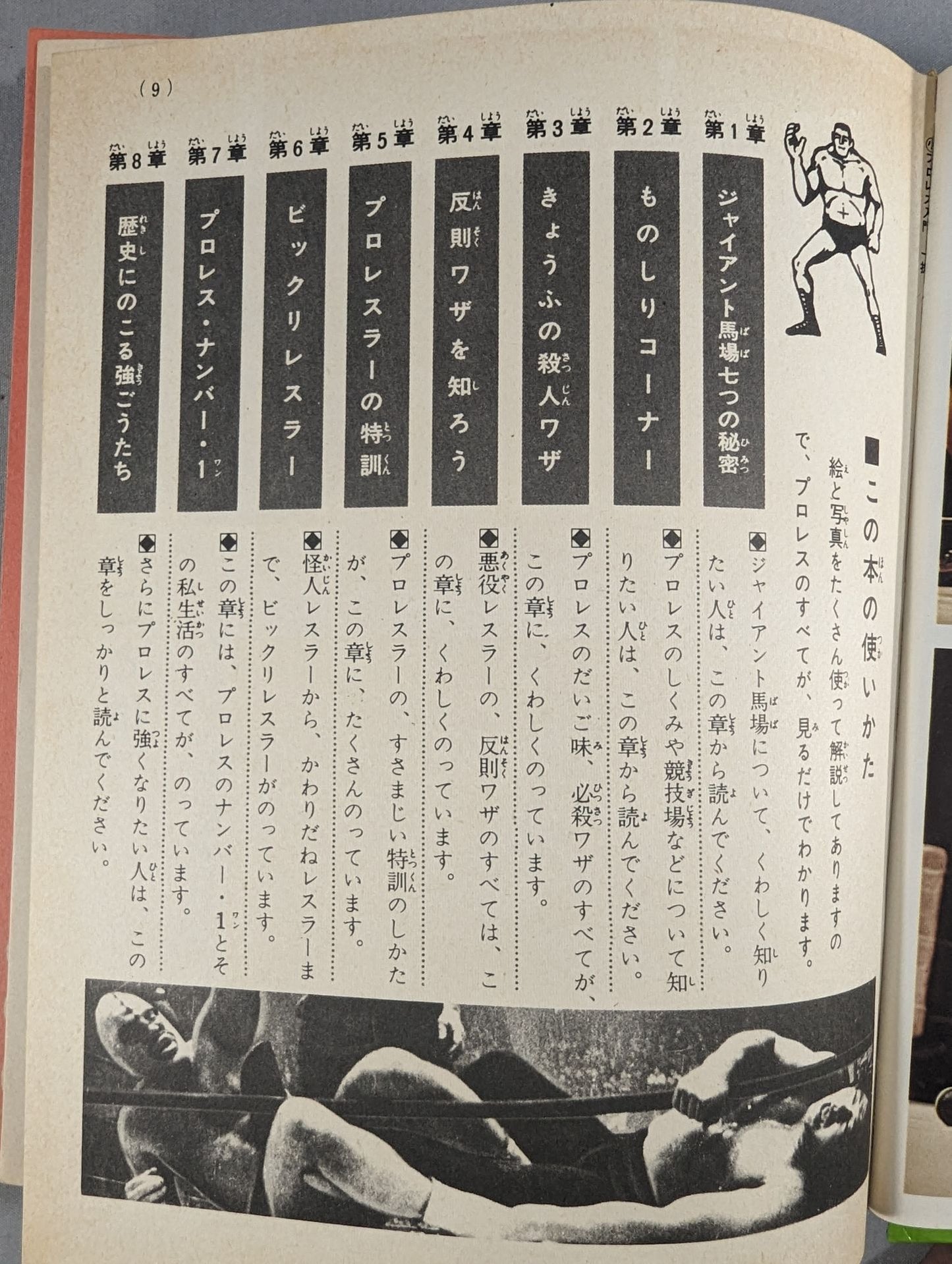 ★ First Edition ★ Introduction to Pro Wrestling Shogakukan Introductory Encyclopedia Series (9) (Cover: Illustration)