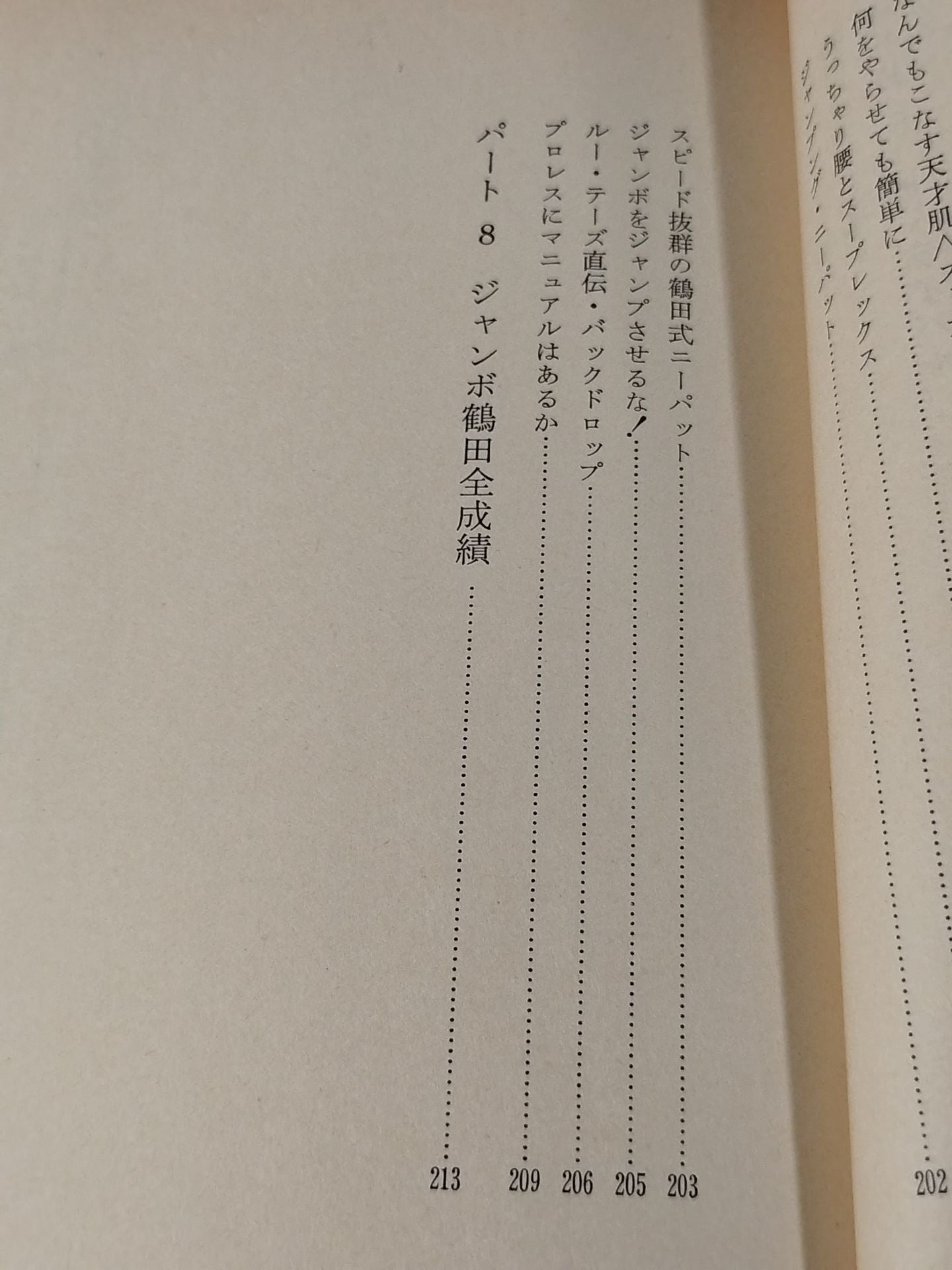 The Cry of a Hot Young Warrior Jumbo Tsuruta Youth Mind