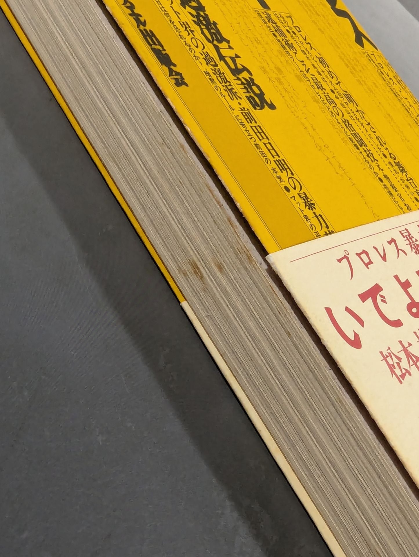 プロレス・シュート・格闘技 よみがえれ!!過激伝説