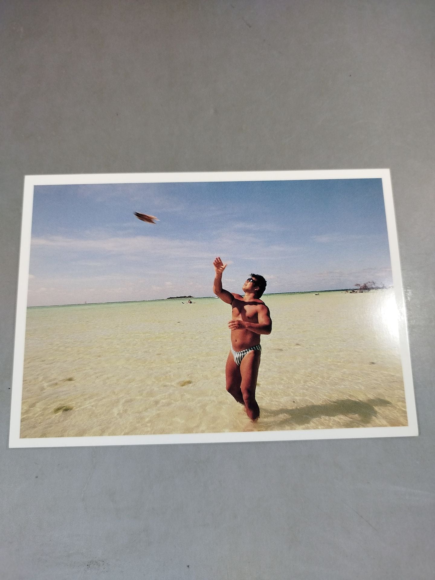 Tatsumi Fujinami