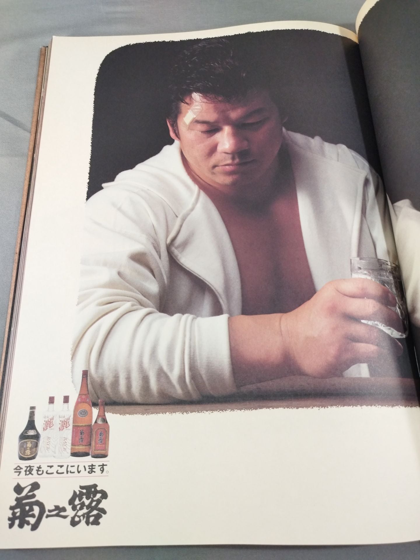 Tatsumi Fujinami