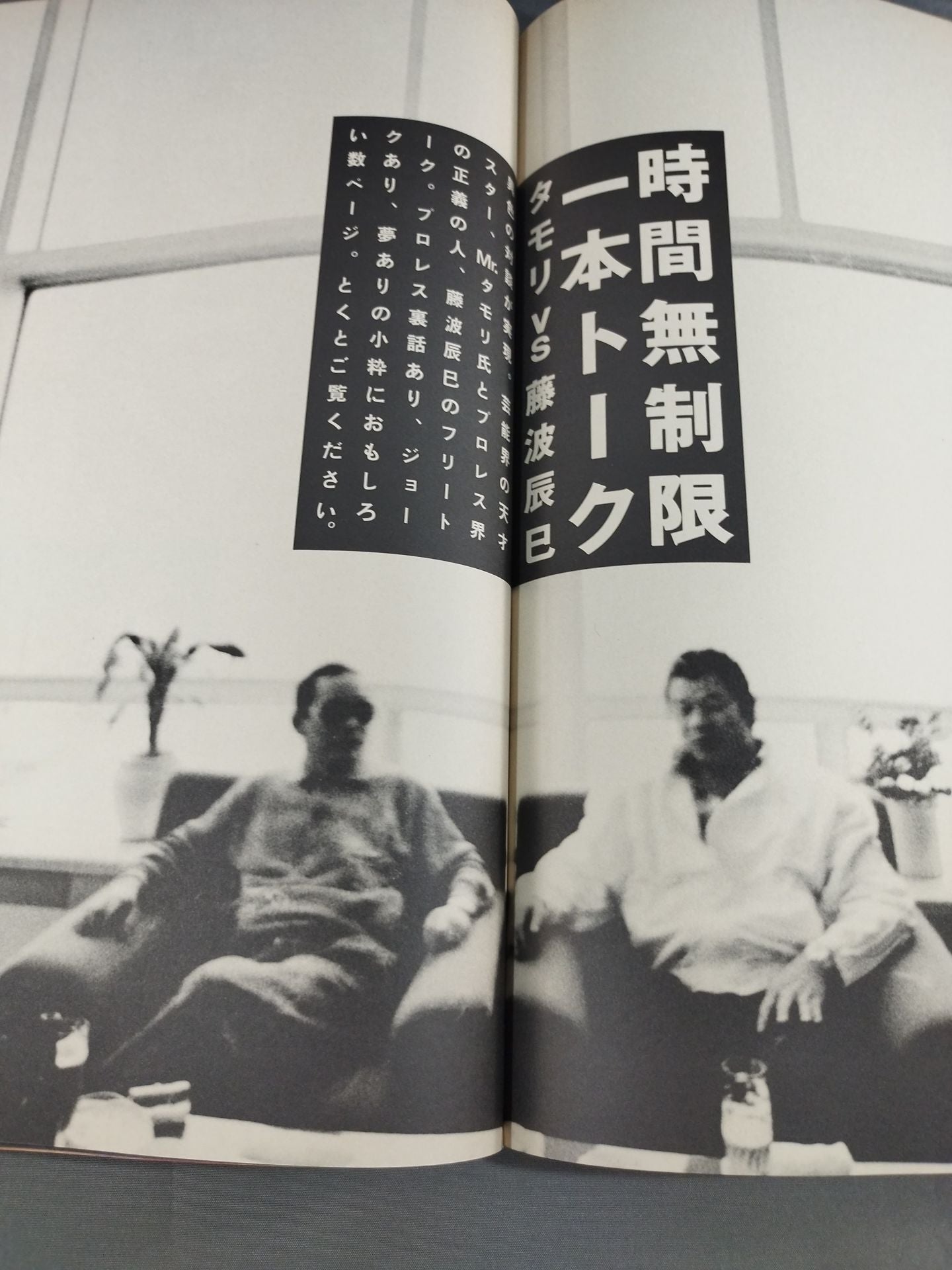 Tatsumi Fujinami
