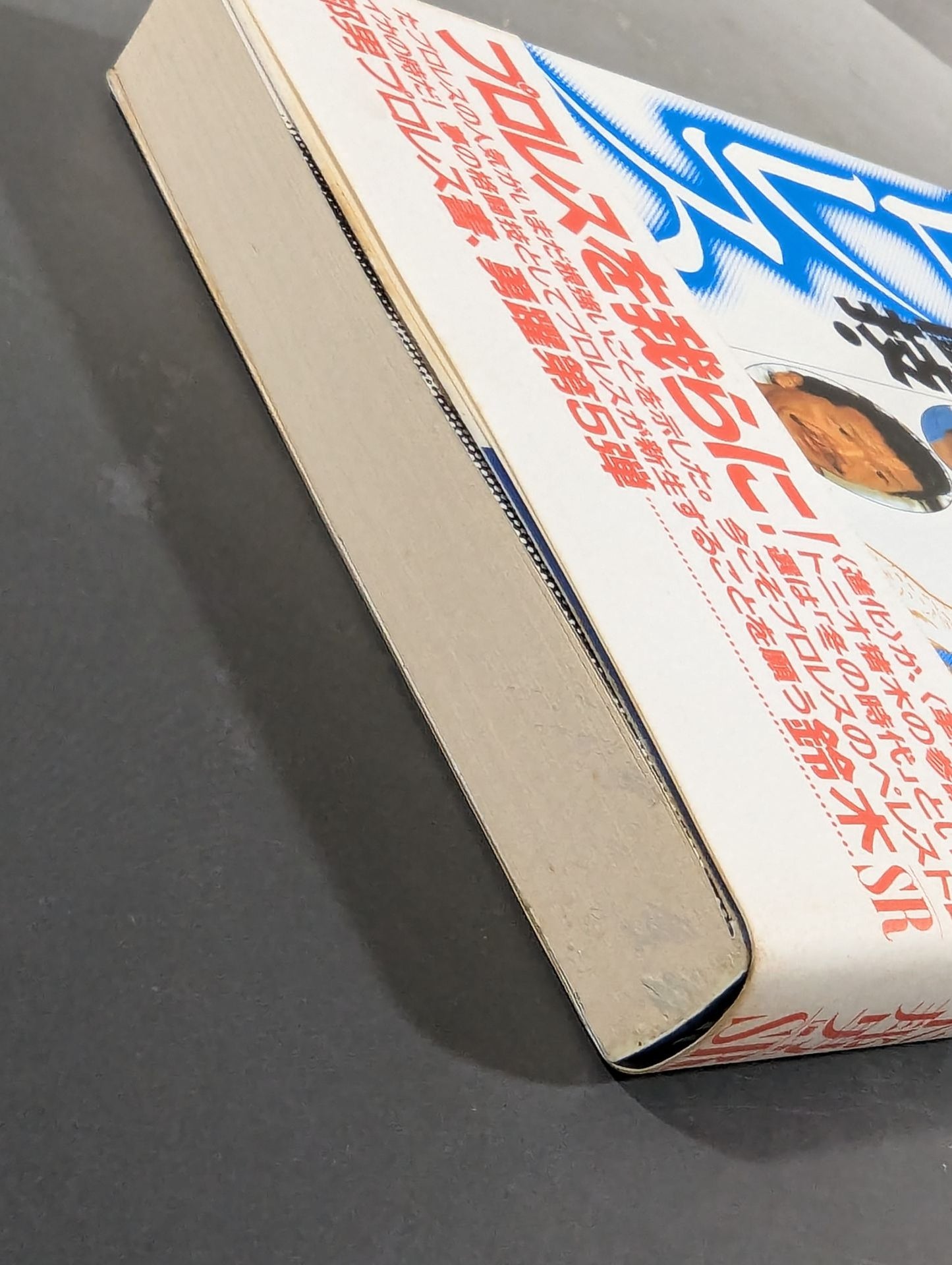 夢の格闘技・プロレス