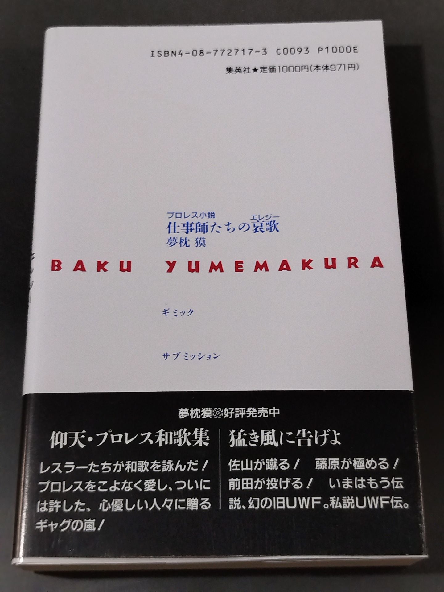 プロレス小説 仕事師たちの哀歌(エレジー)