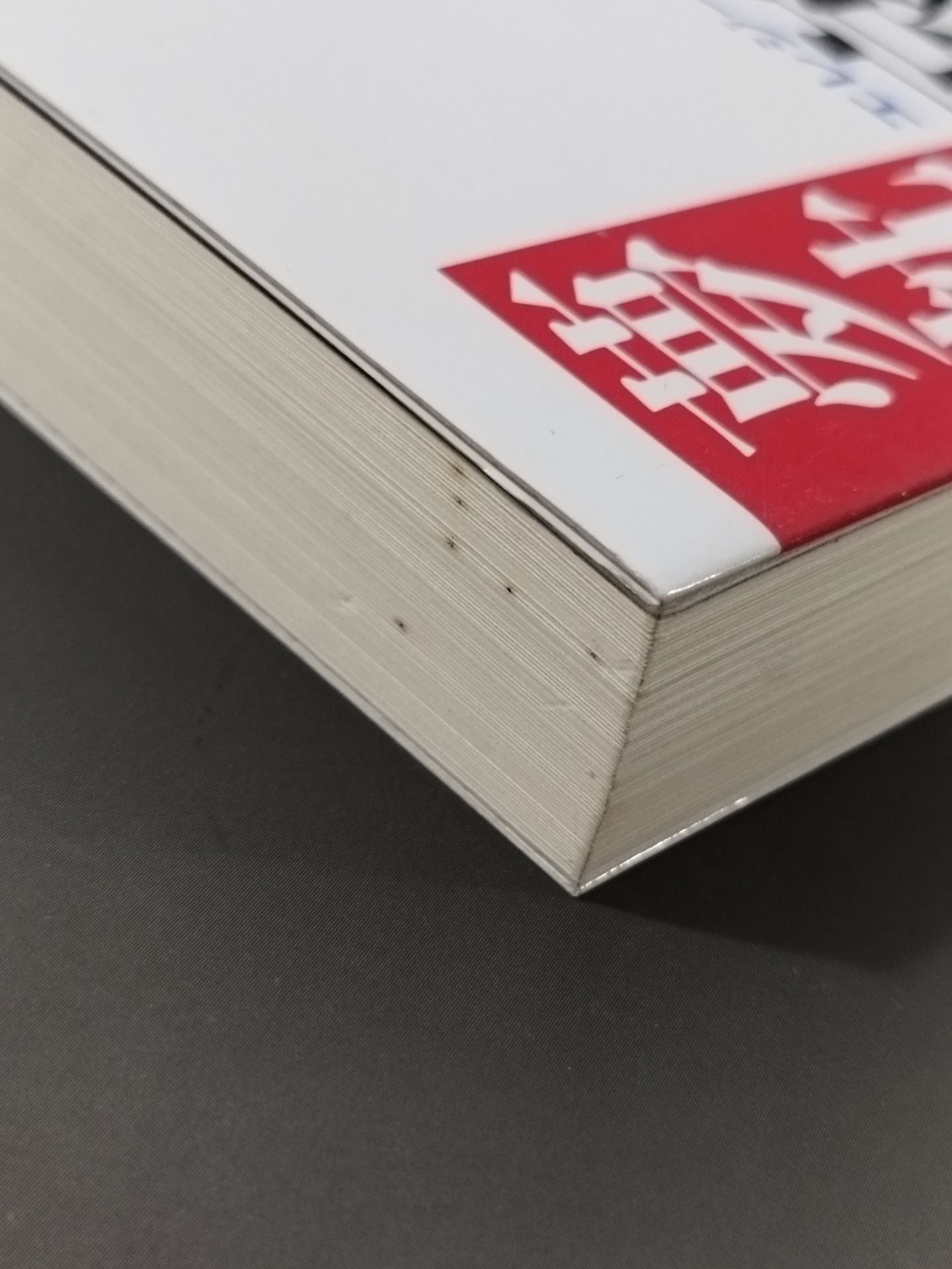 プロレス小説 仕事師たちの哀歌(エレジー)