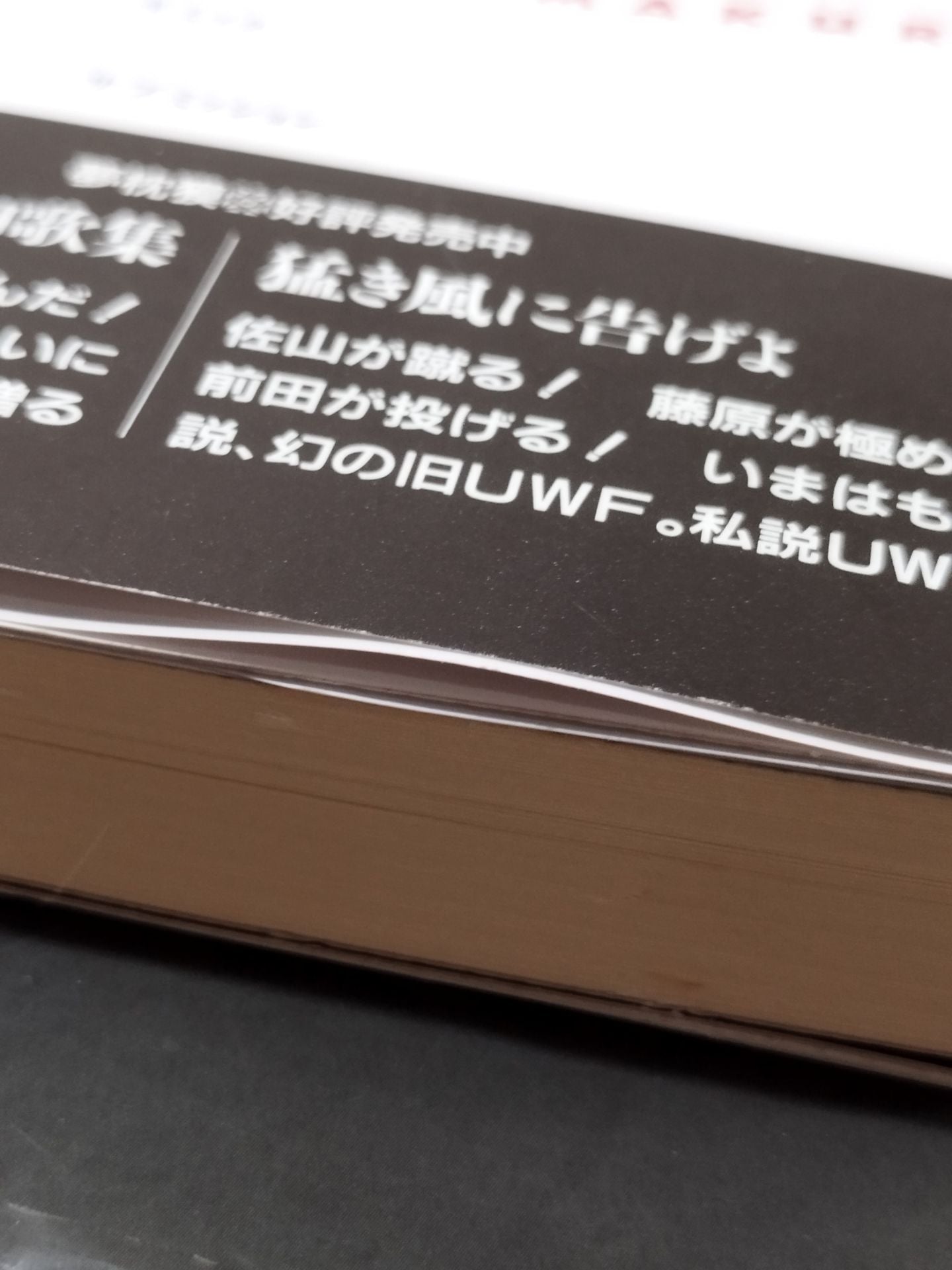プロレス小説 仕事師たちの哀歌(エレジー)