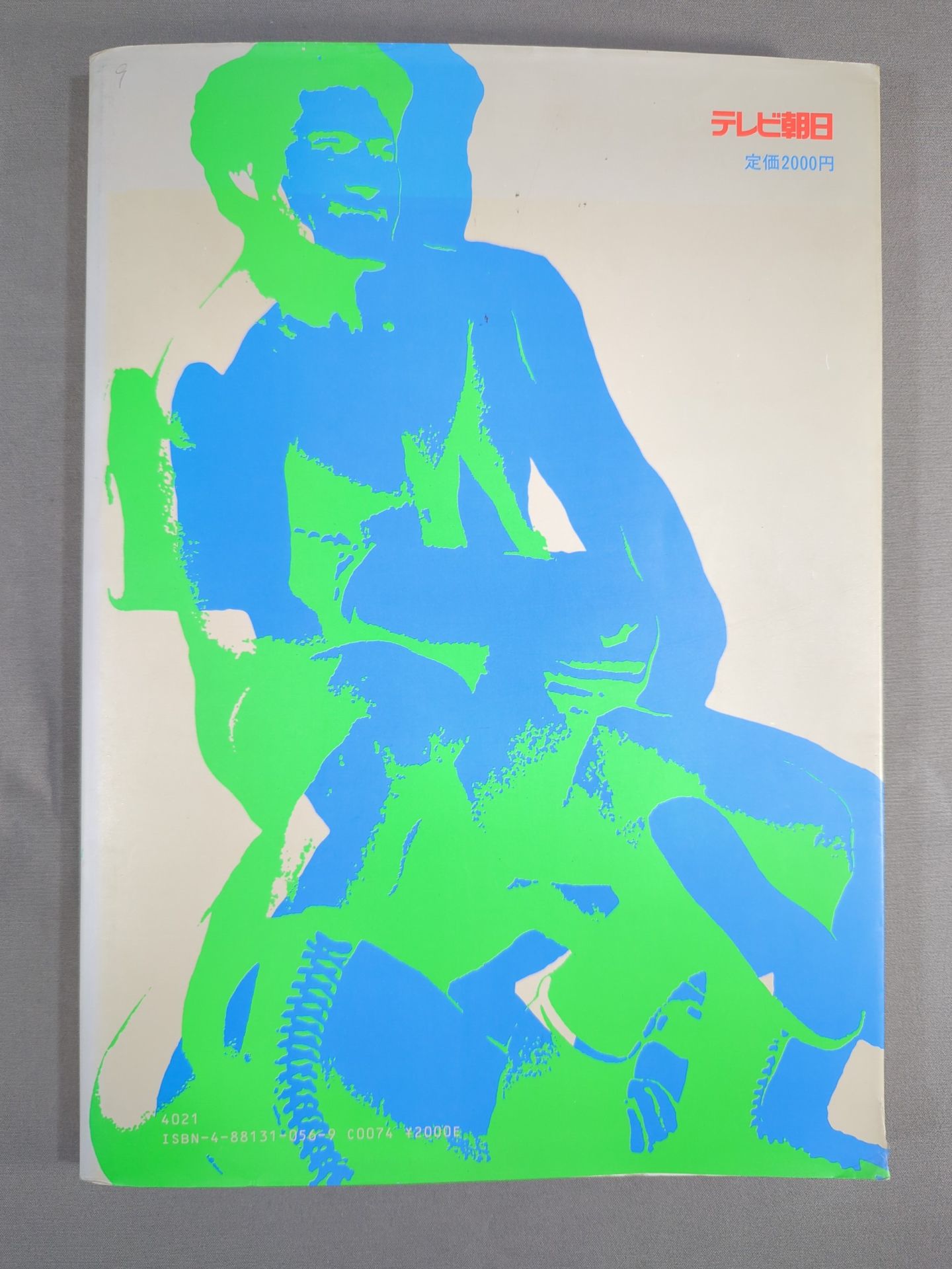 闘いのワンダーランド ワールドプロレスリングの15年