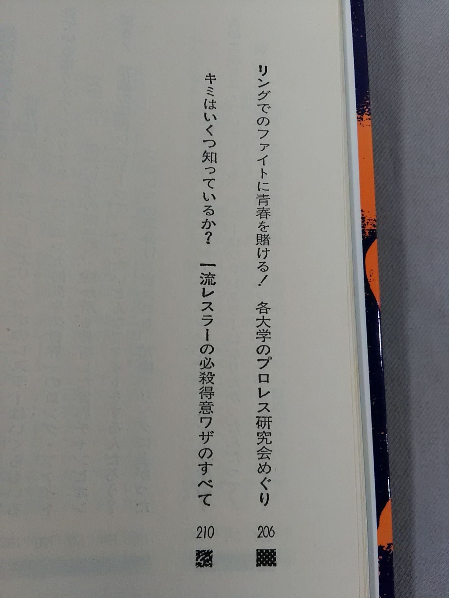 プロレスこれを知ったら殺られる