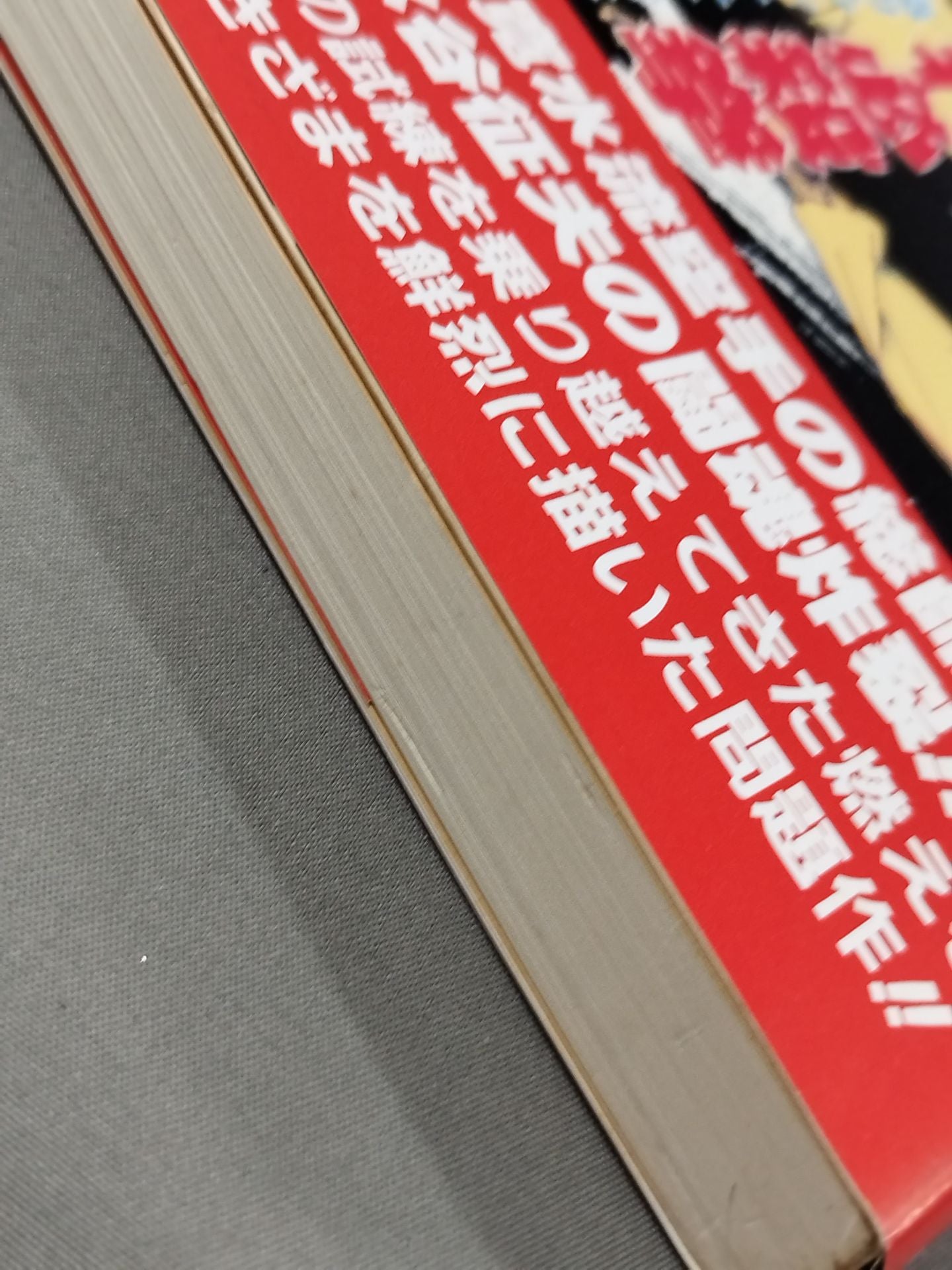やさぐれ必殺拳 東海の鬼と恐れられた寛水流空手総帥・水谷征夫、ここに在り