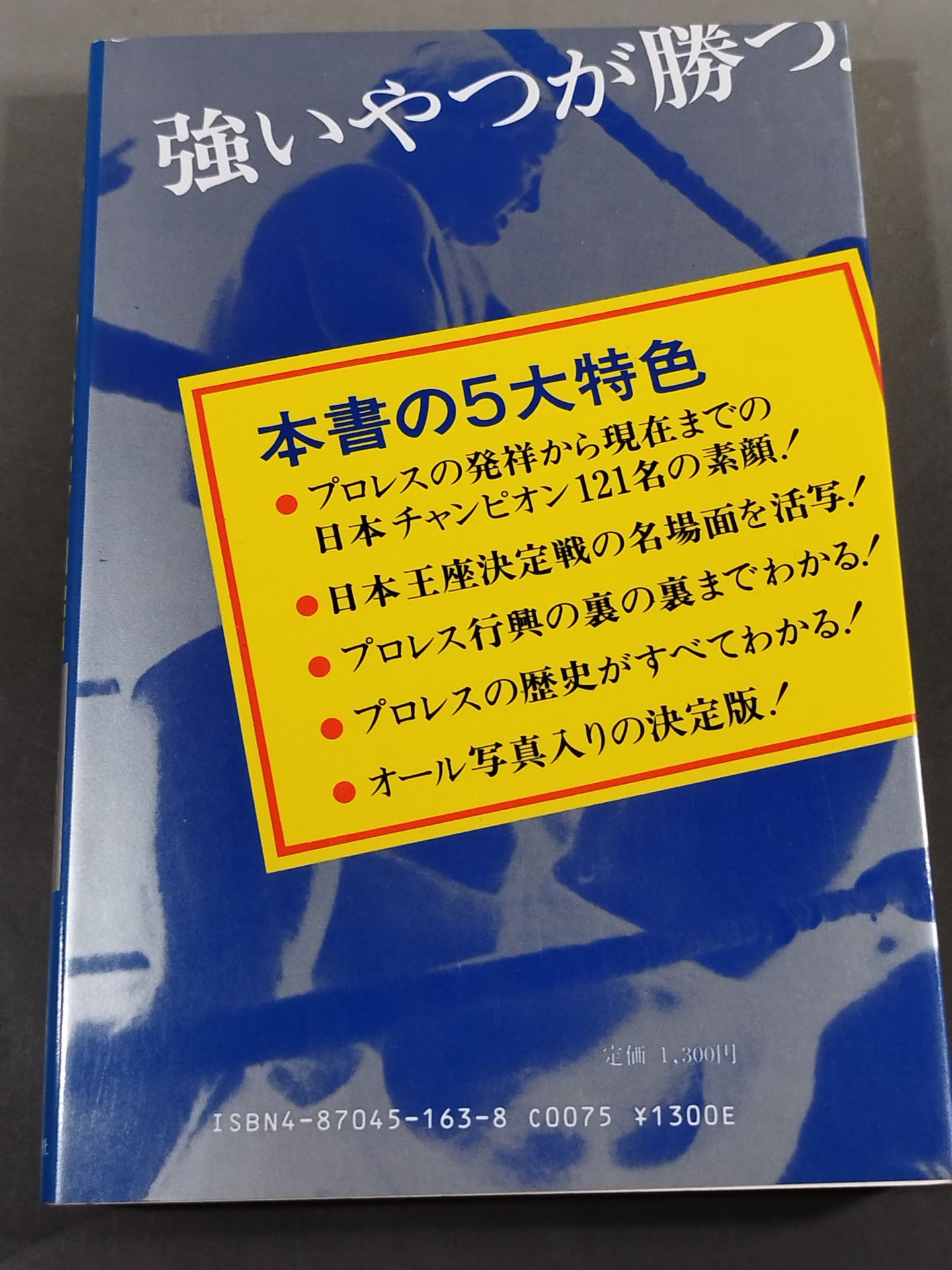 Pro Wrestling All-Strength Directory Japan Edition