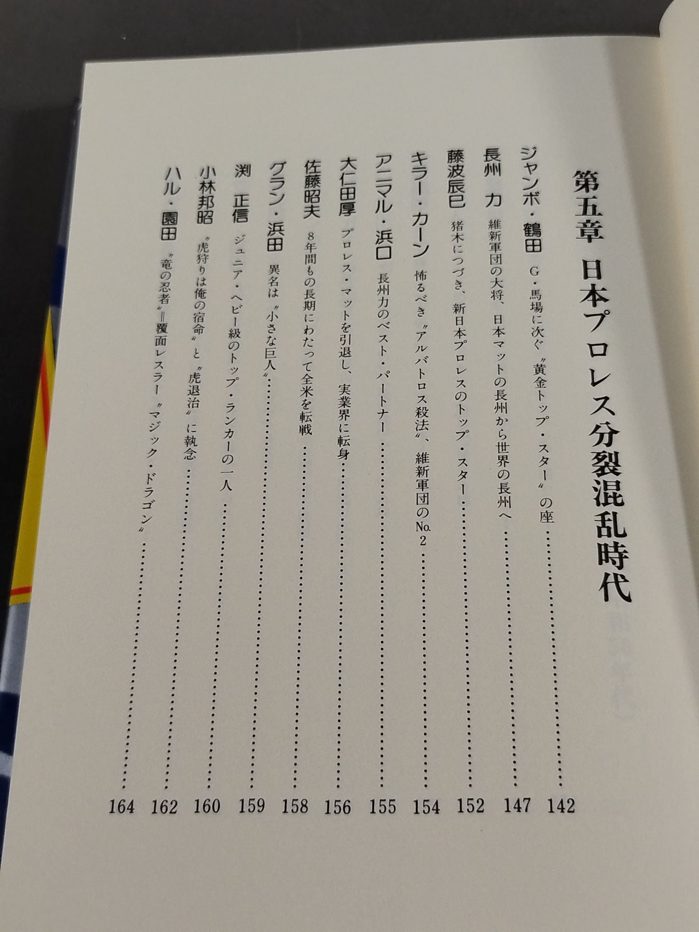 Pro Wrestling All-Strength Directory Japan Edition