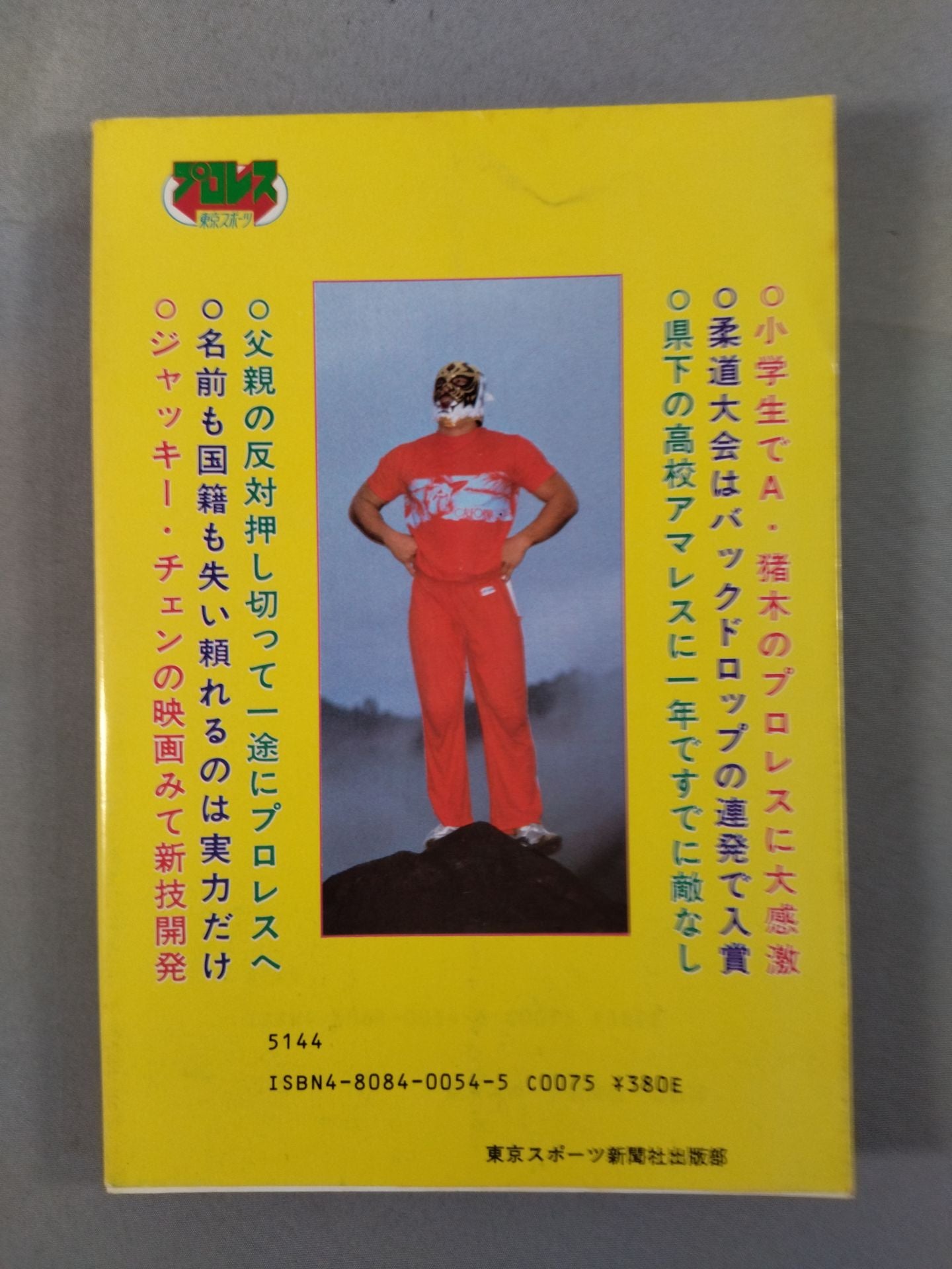 Tiger Mask: The True Face of a Superhero