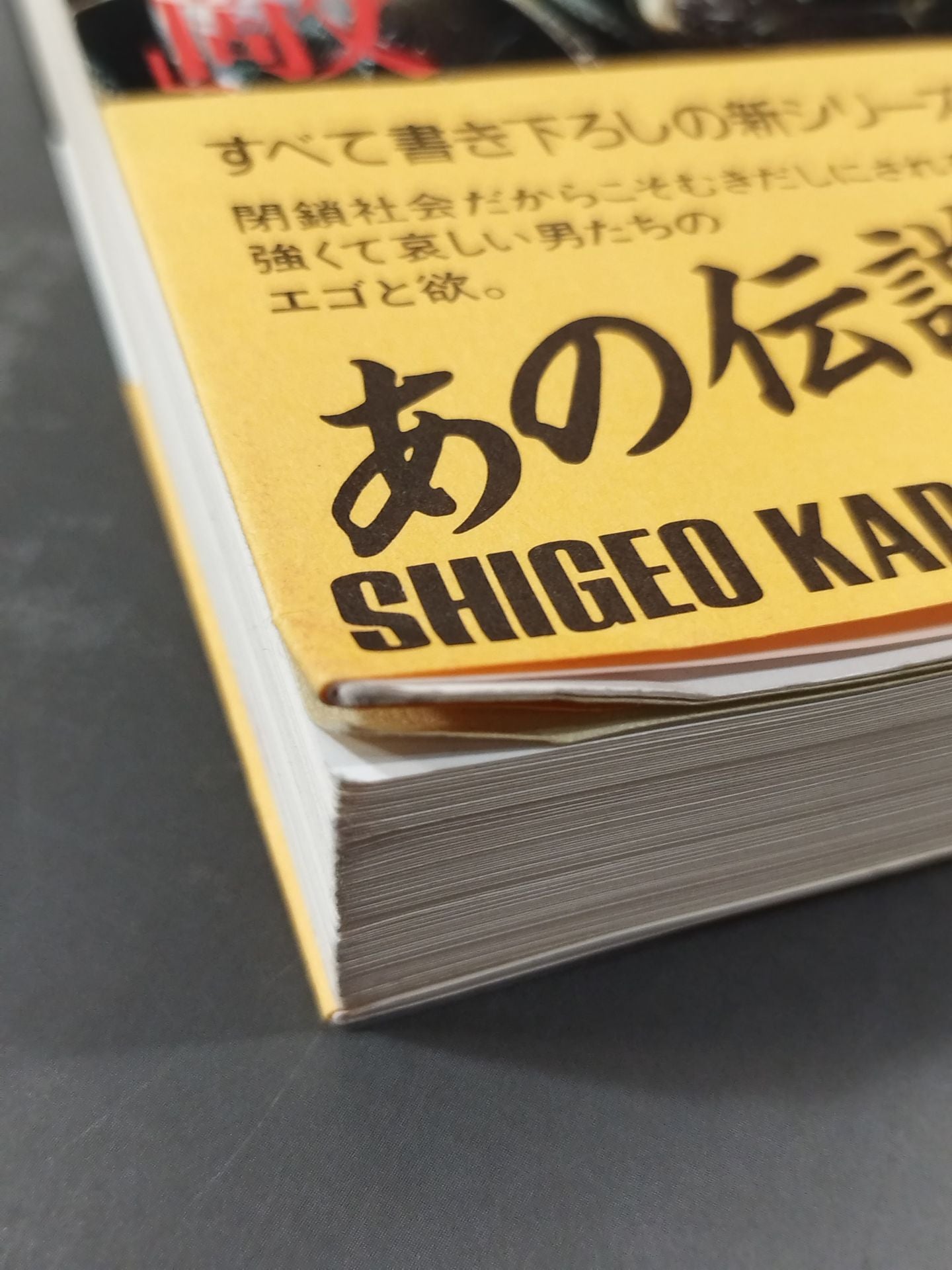 The Invincible Man's "Enemy" The Pro Wrestling 365 New "Shigeo Kado" The Complete Works of Pro Wrestling 1