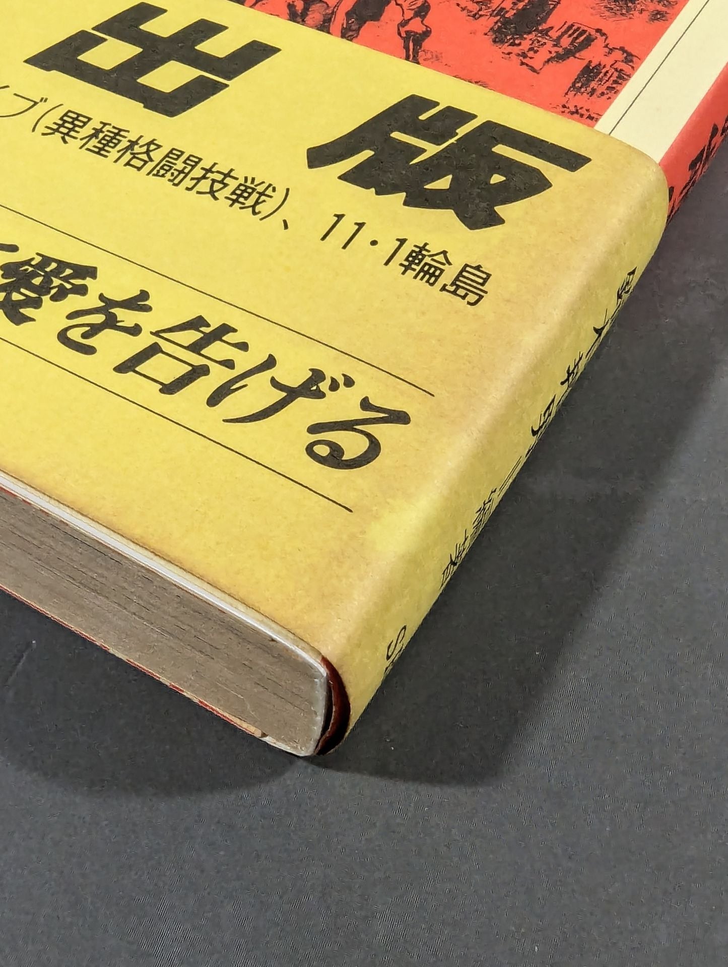 Antonio Inoki RadicalThe collapse of Pro Wrestling