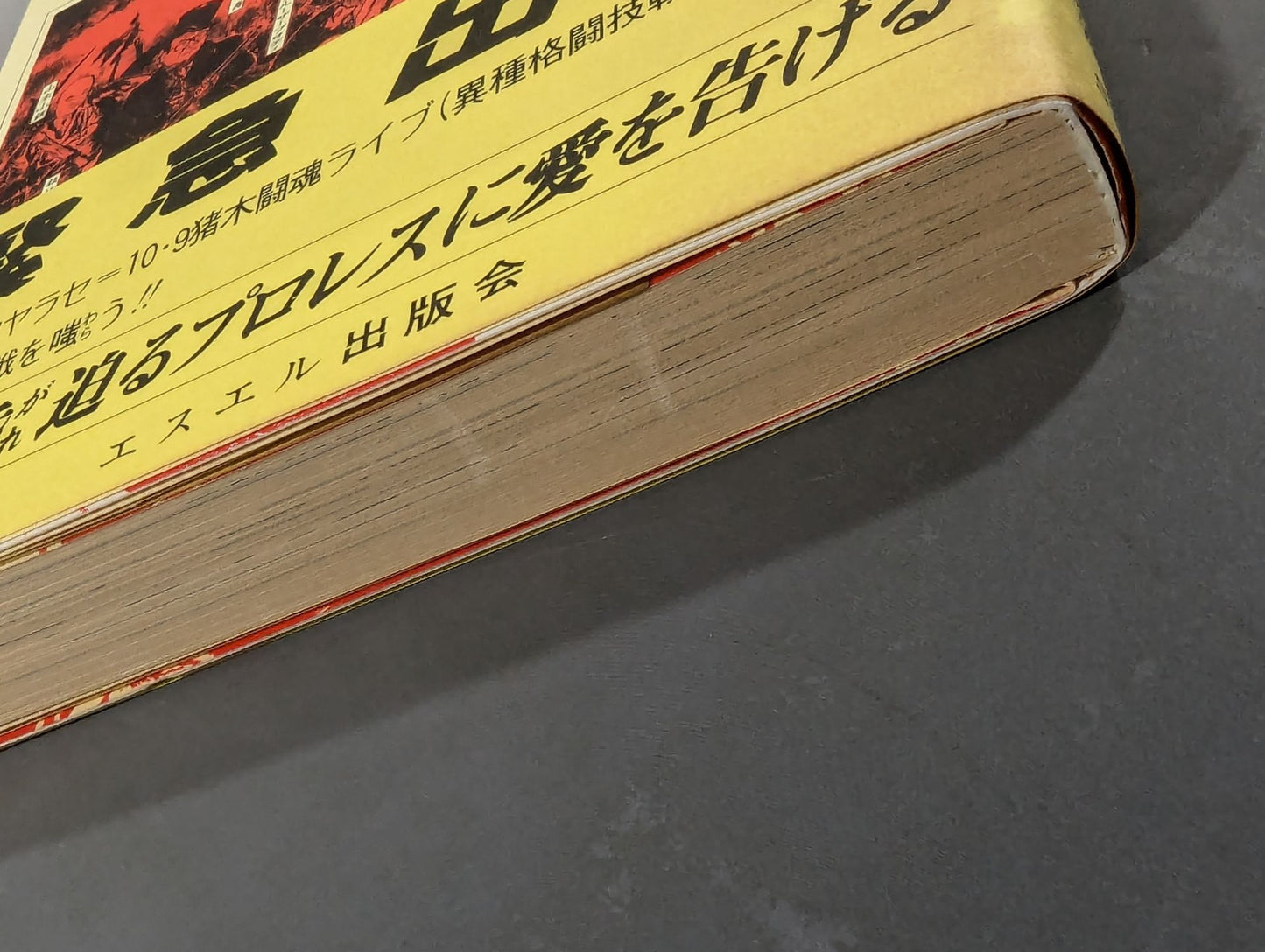 Antonio Inoki RadicalThe collapse of Pro Wrestling