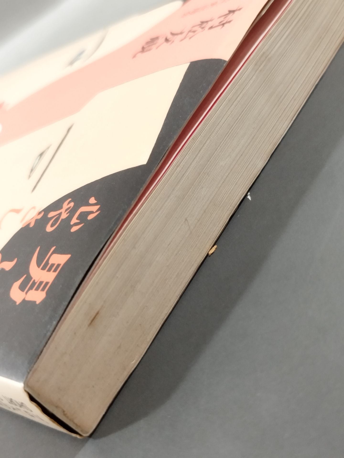 男と女 心やさしきデスマッチ プロレスの味方SHORTSHORT篇