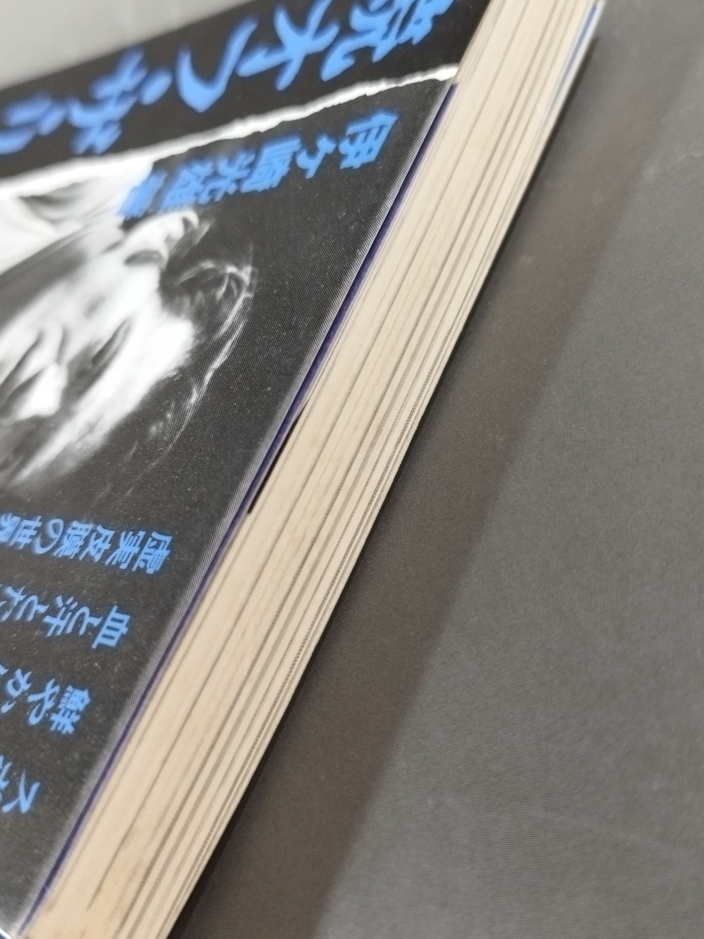 Sequel Off the Ring / The Wrestler: Its Light and Shadow
