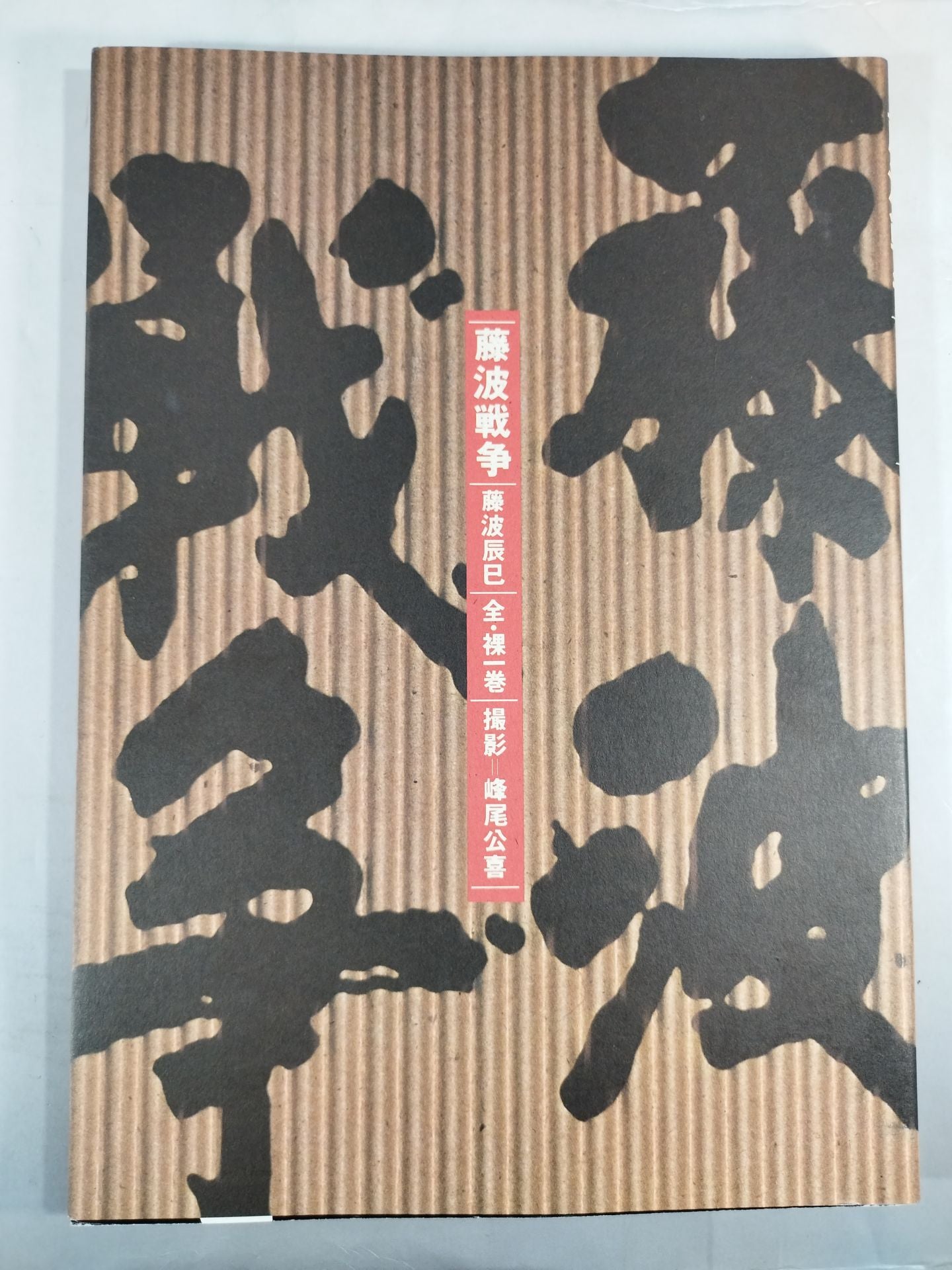 藤波戦争 藤波辰巳 全・裸一巻