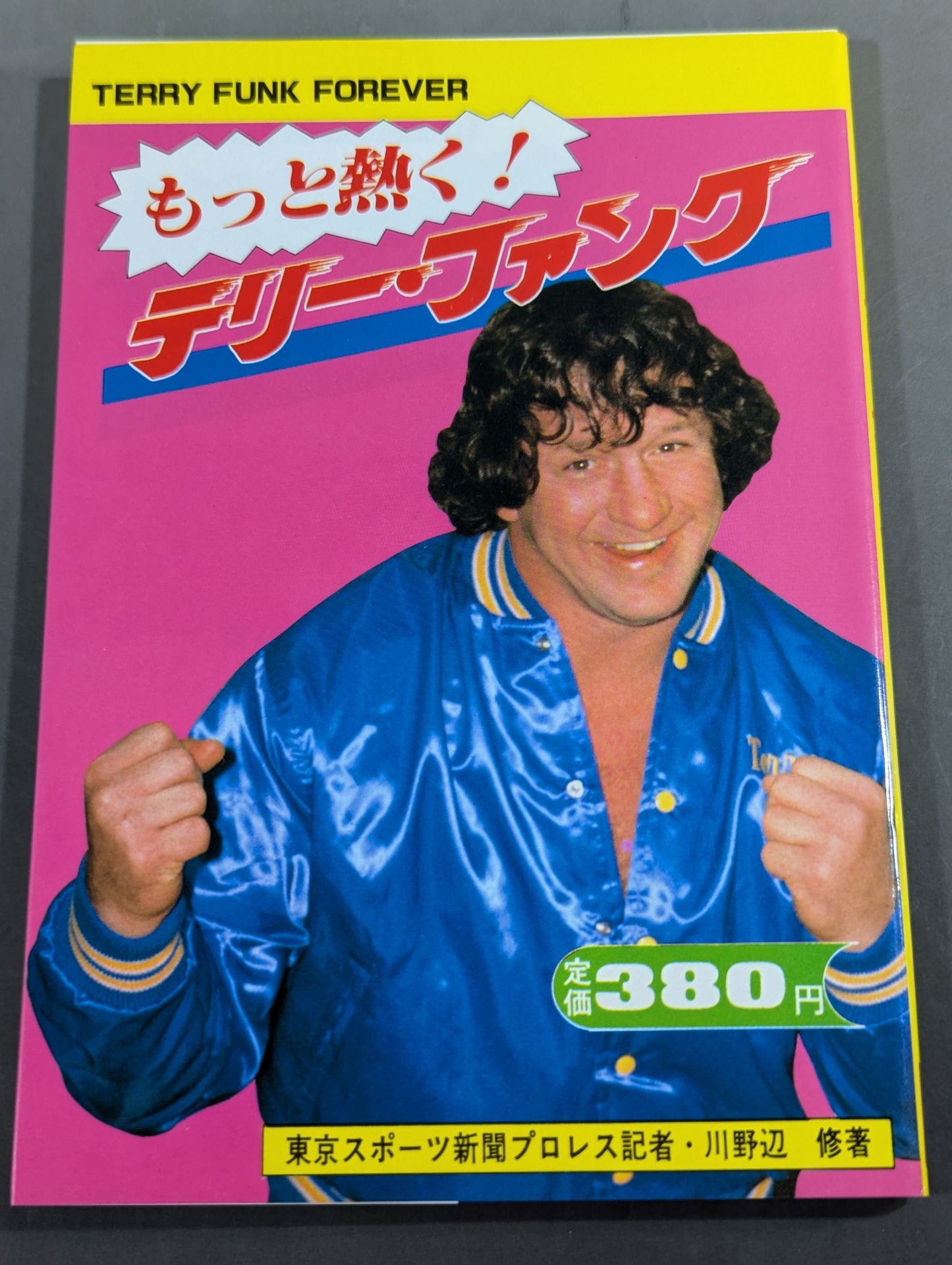 もっと熱く!テリー・ファンク